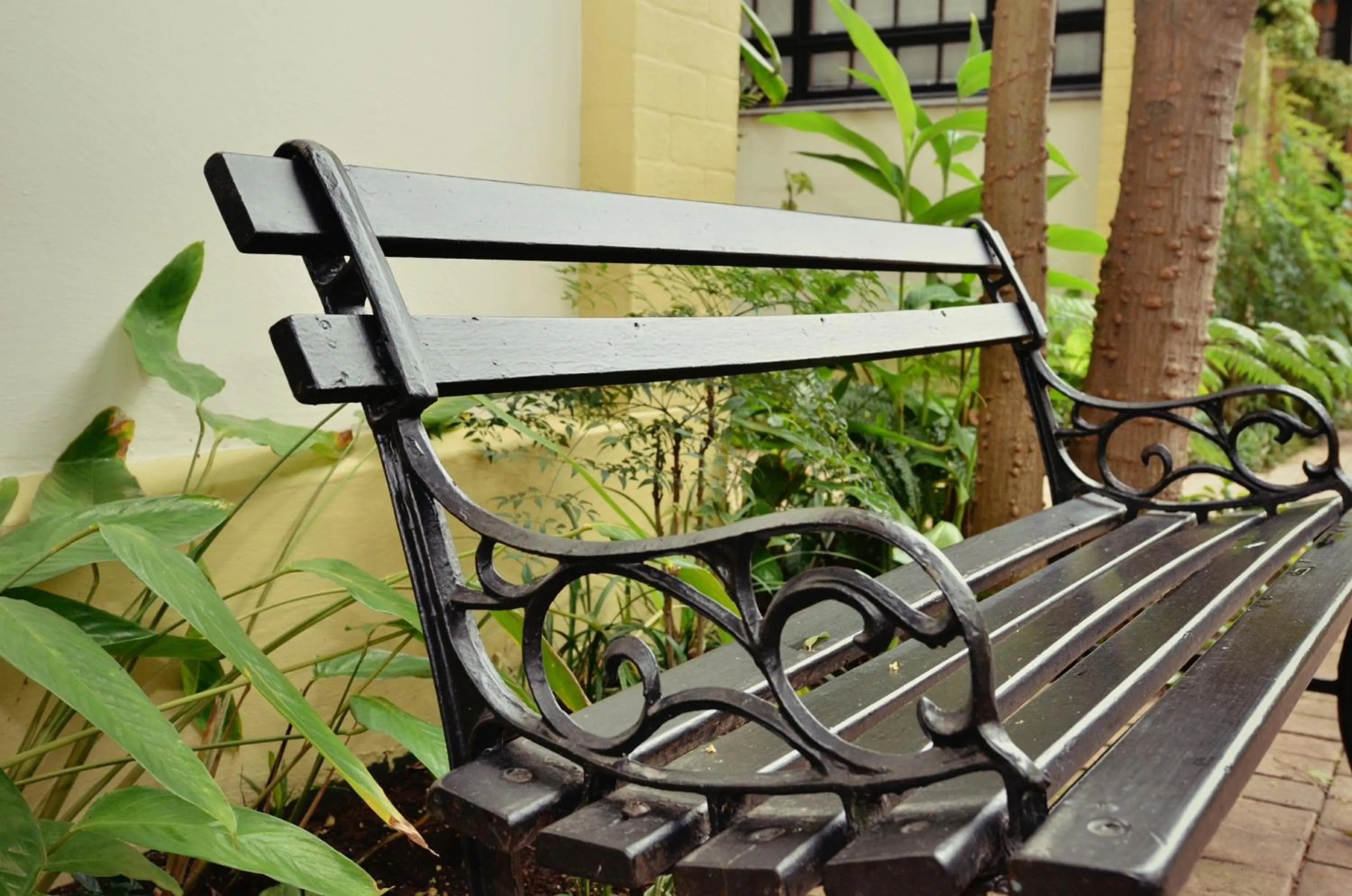 Garden in Madeline Grove Bed & Breakfast