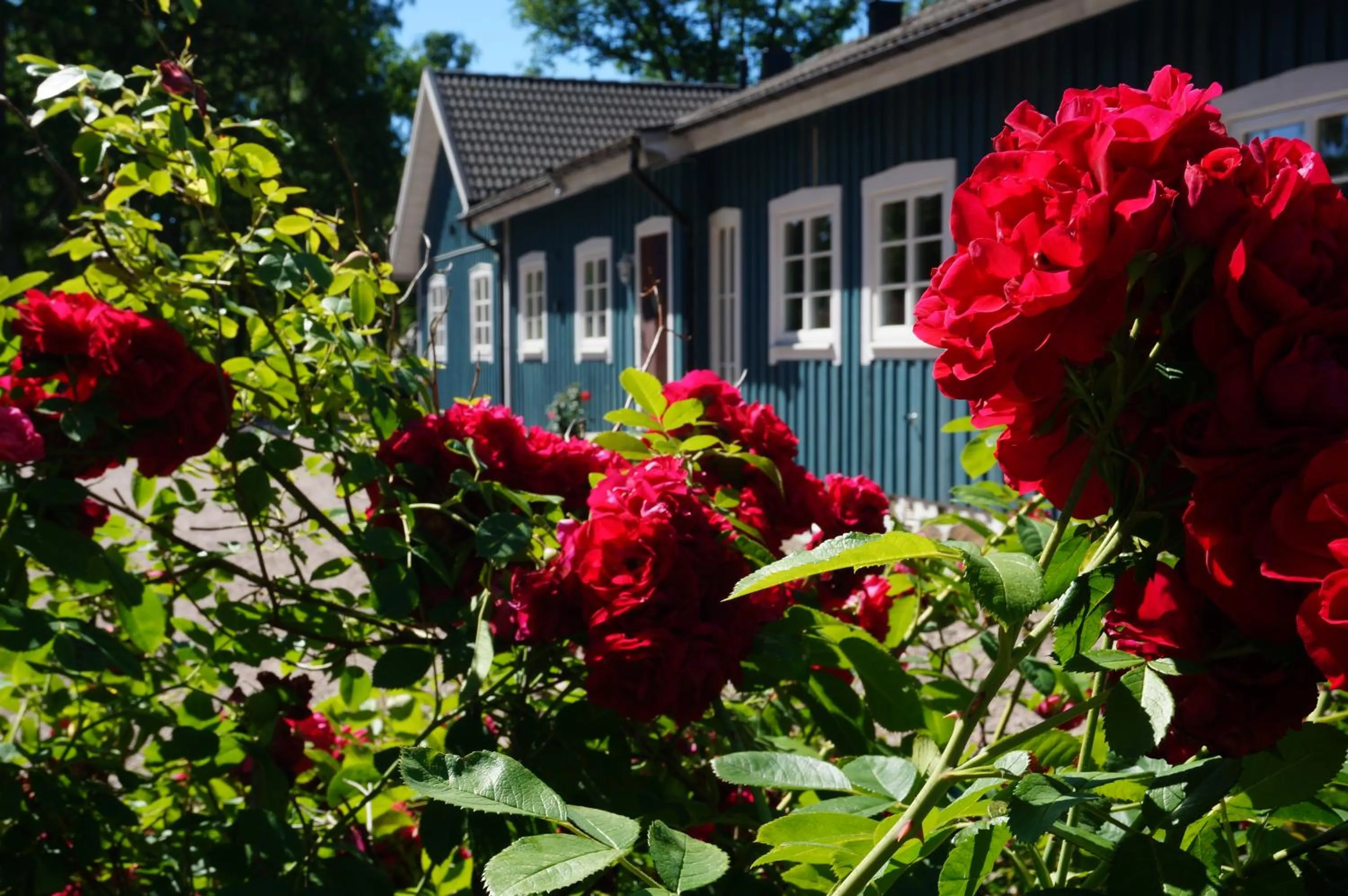 Garden in Bolmsö B&B