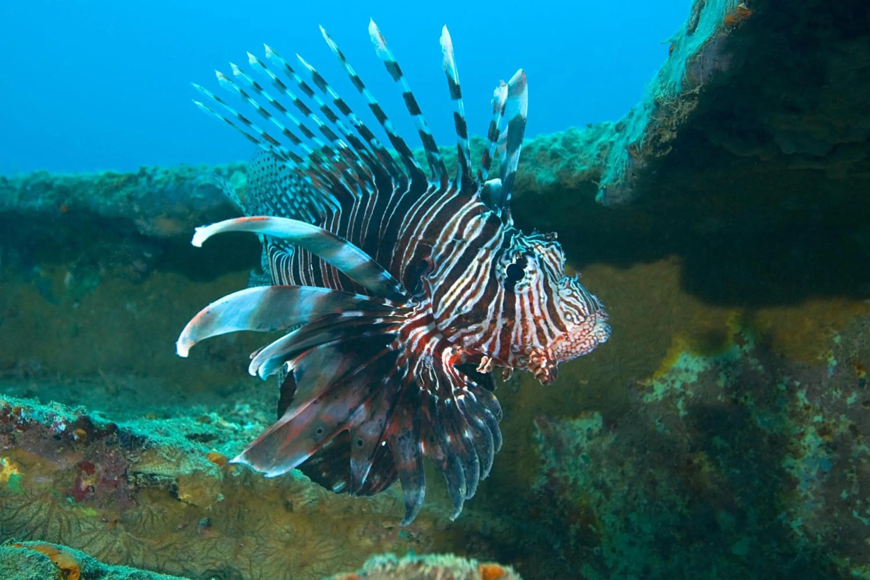 Location in Djibouti Palace Kempinski
