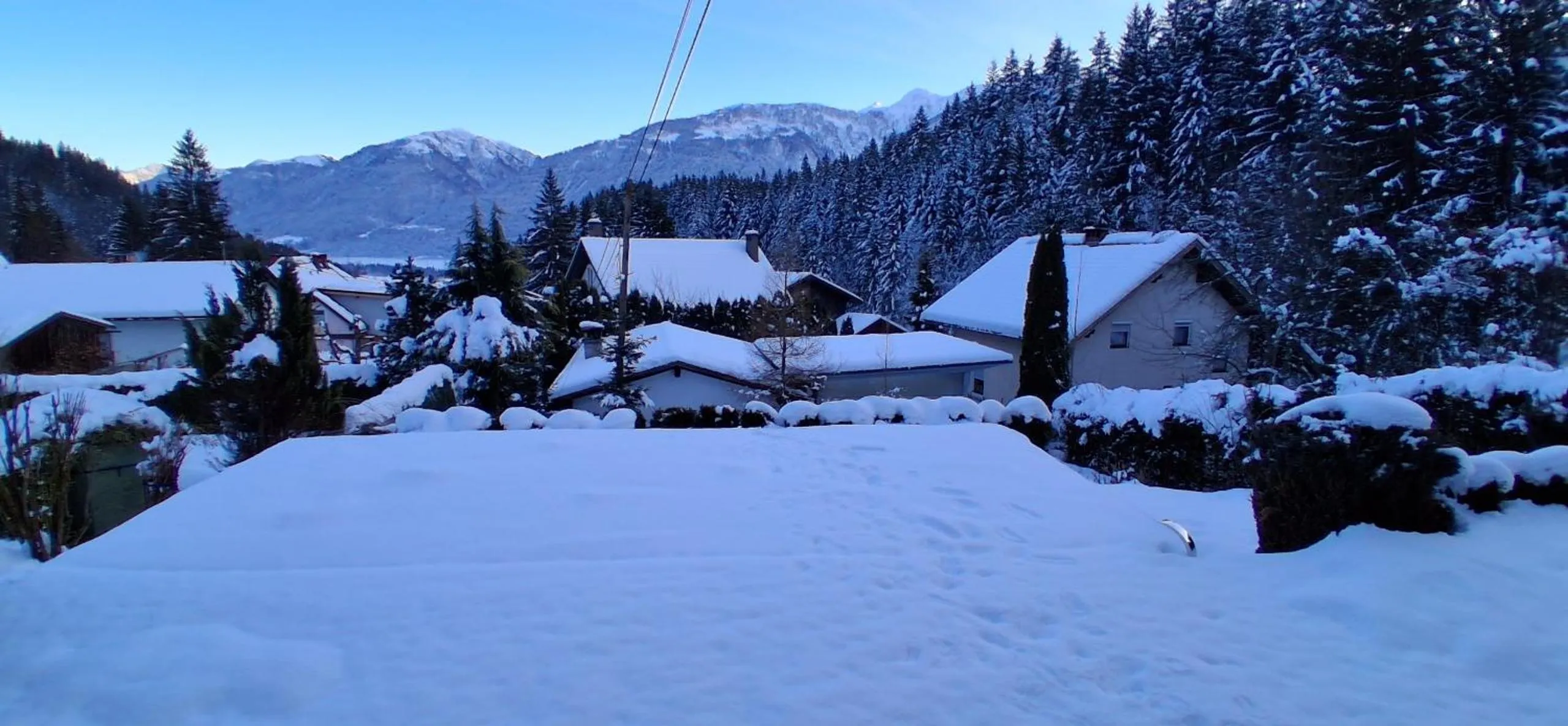 Haus Sieben - Singer Lydia