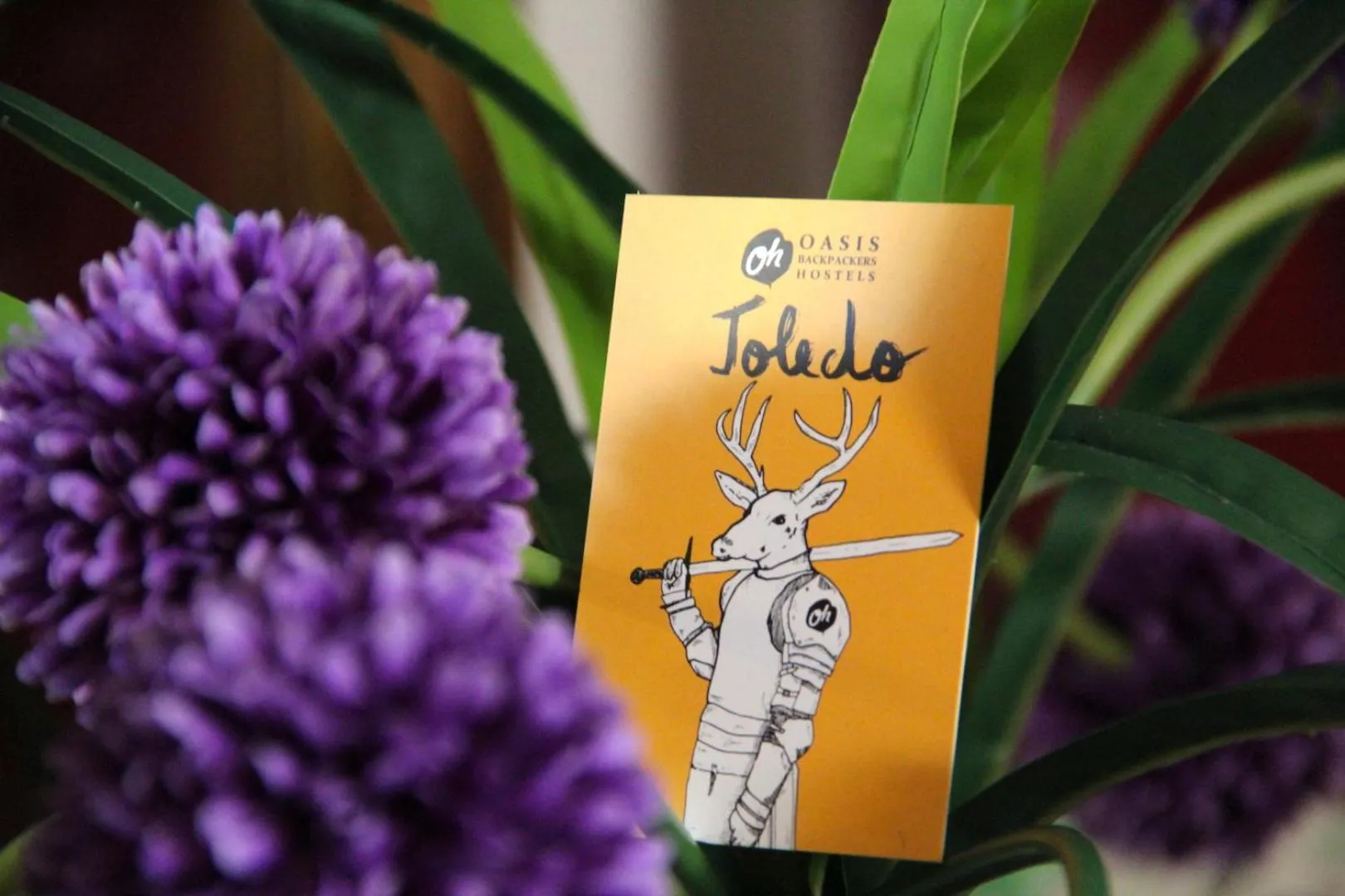 Lobby or reception in Oasis Backpackers' Toledo