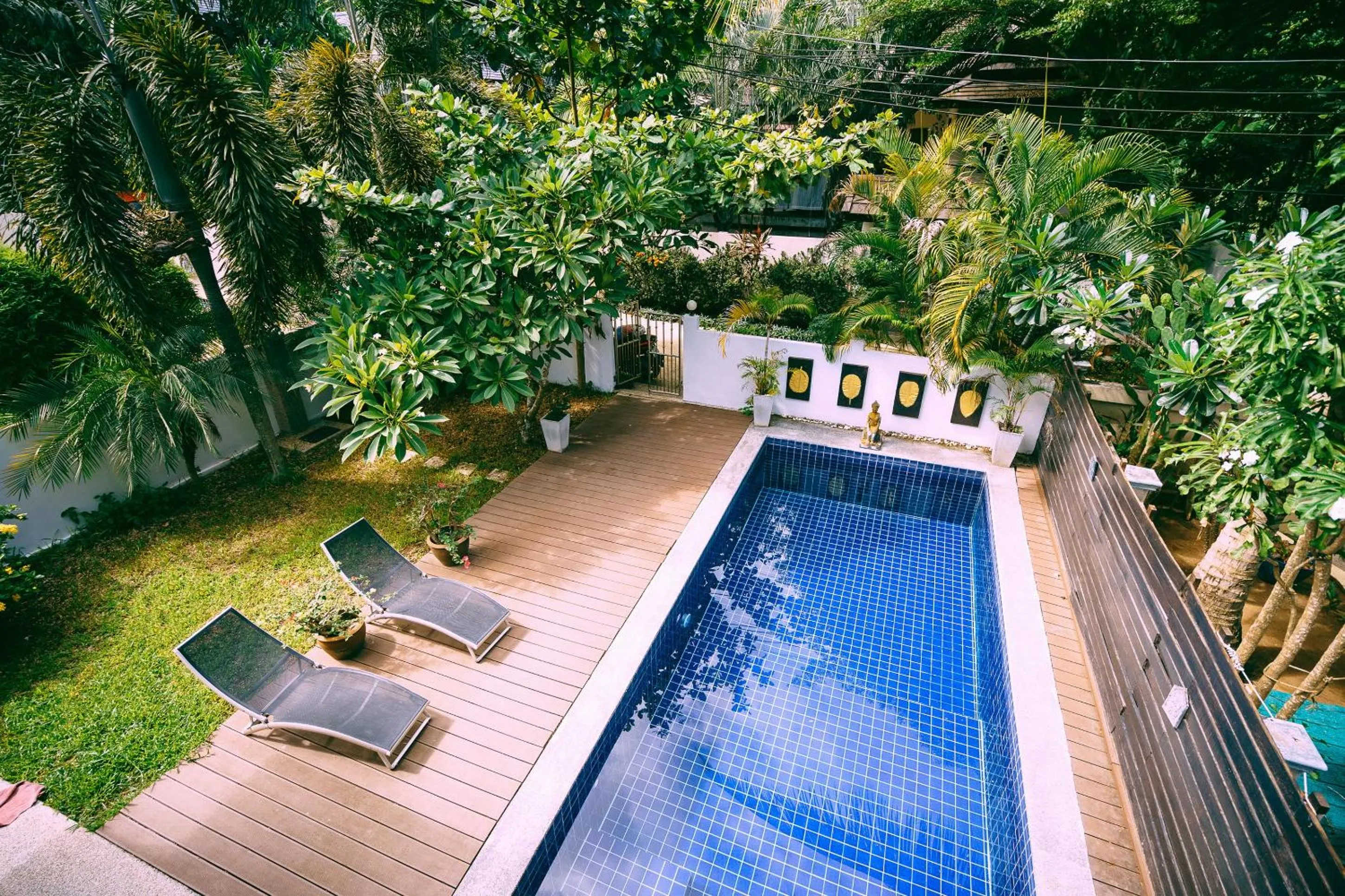 Garden view in Villa Whitney