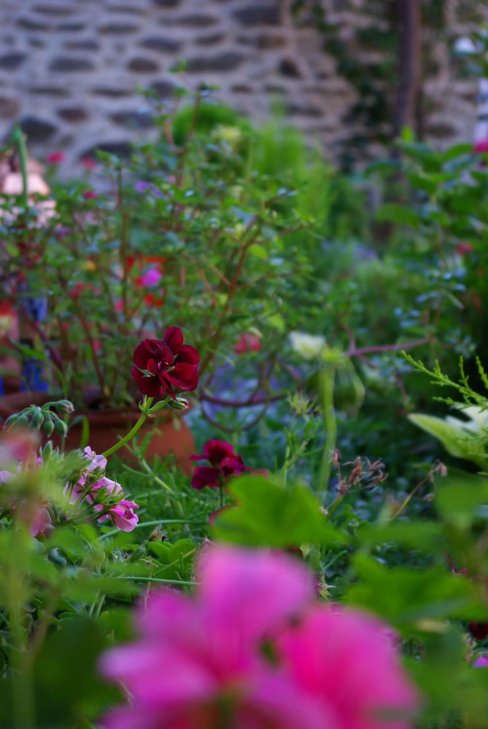 Garden view in Birgi Hotel Saliha Hanim Tas Konak