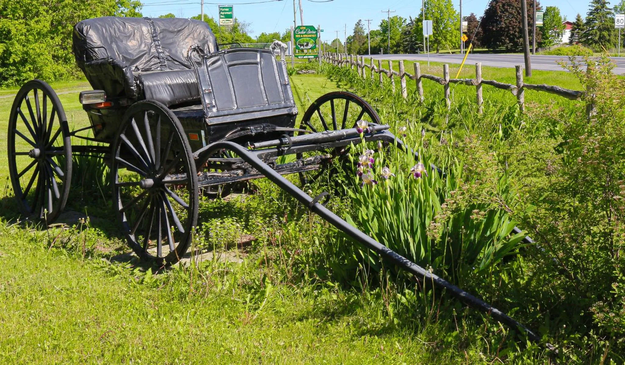 Garden in Cedar Drive Inn