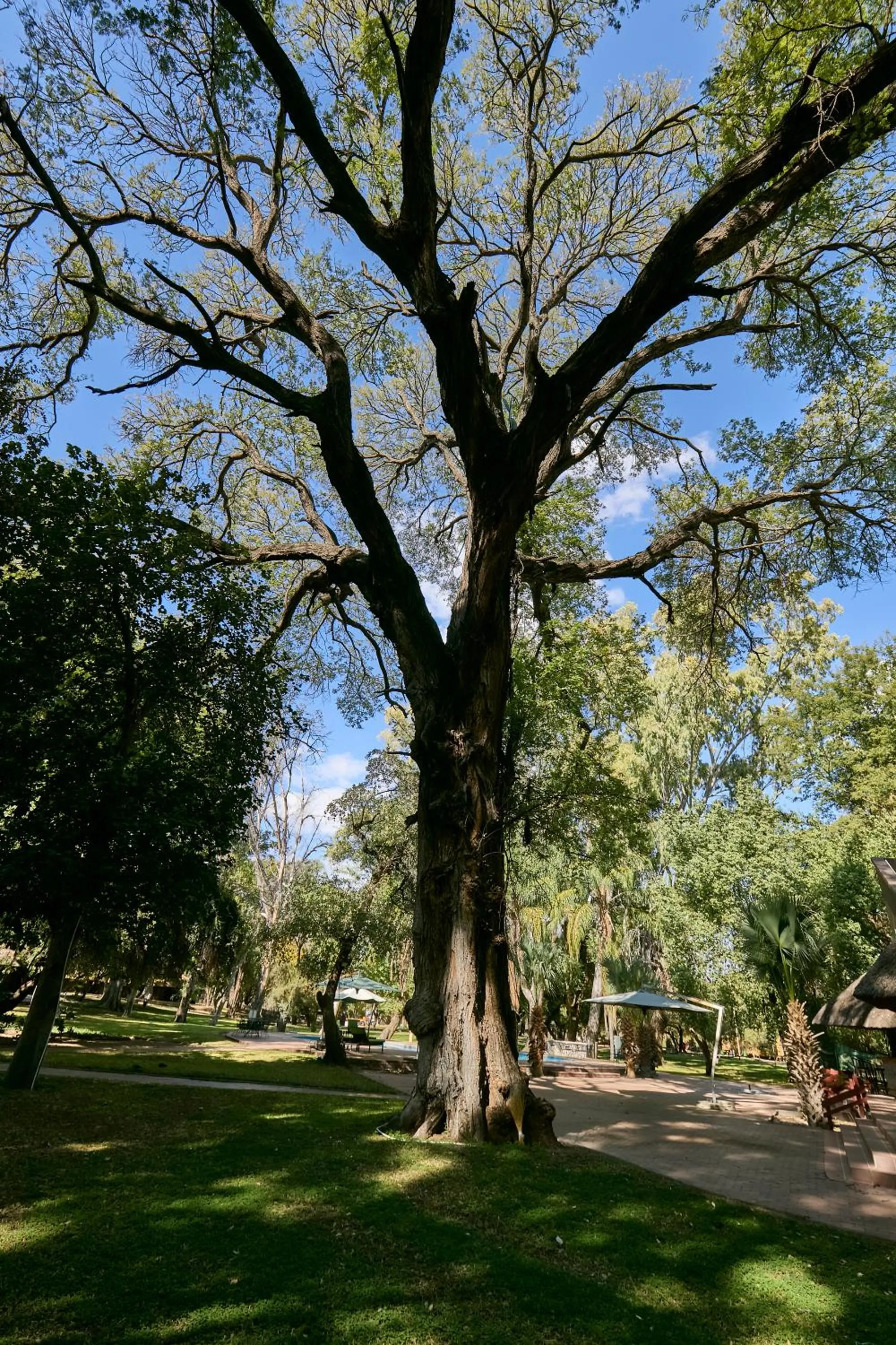 Day in Cresta Marang Gardens Hotel