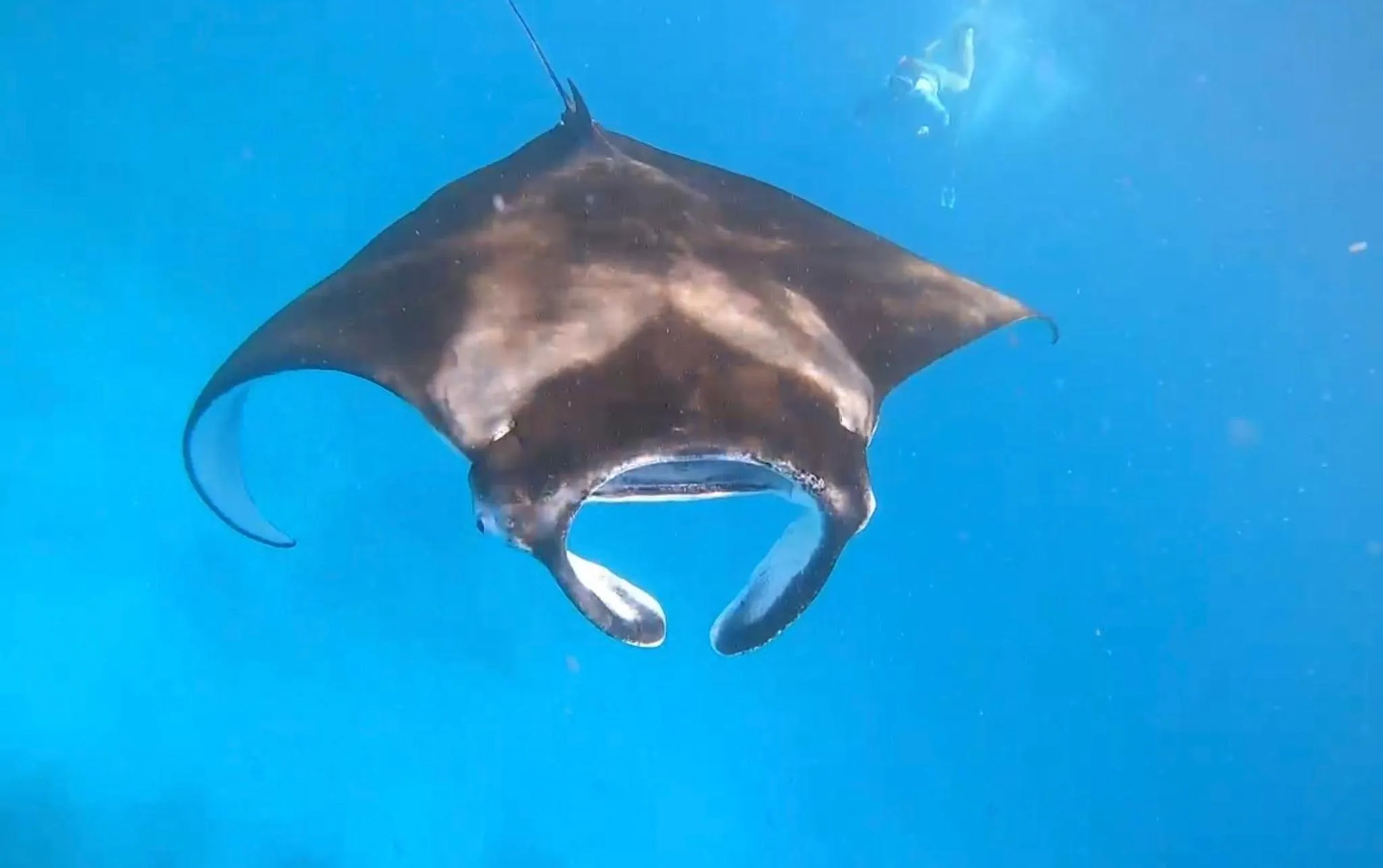 Activities in Ocean Pearl