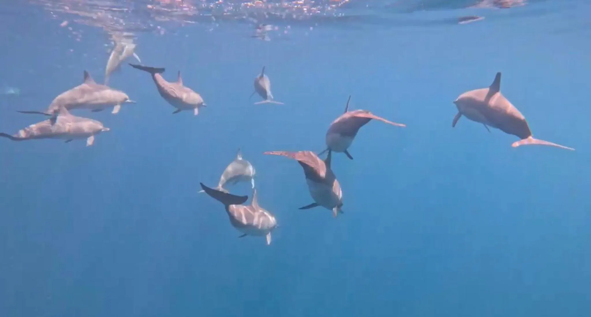 Activities in Ocean Pearl