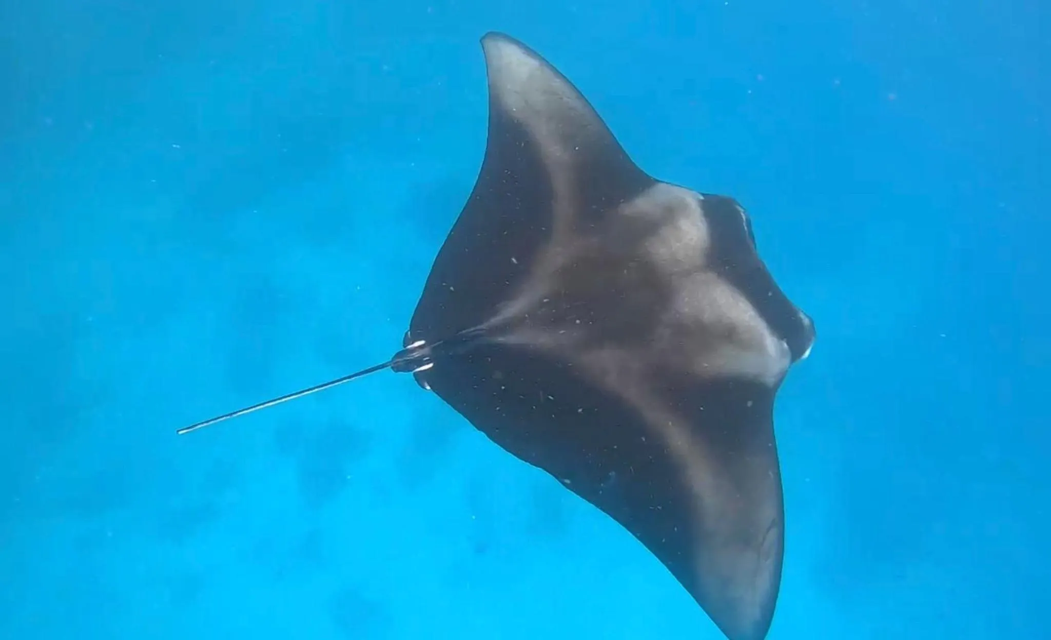 Activities in Ocean Pearl