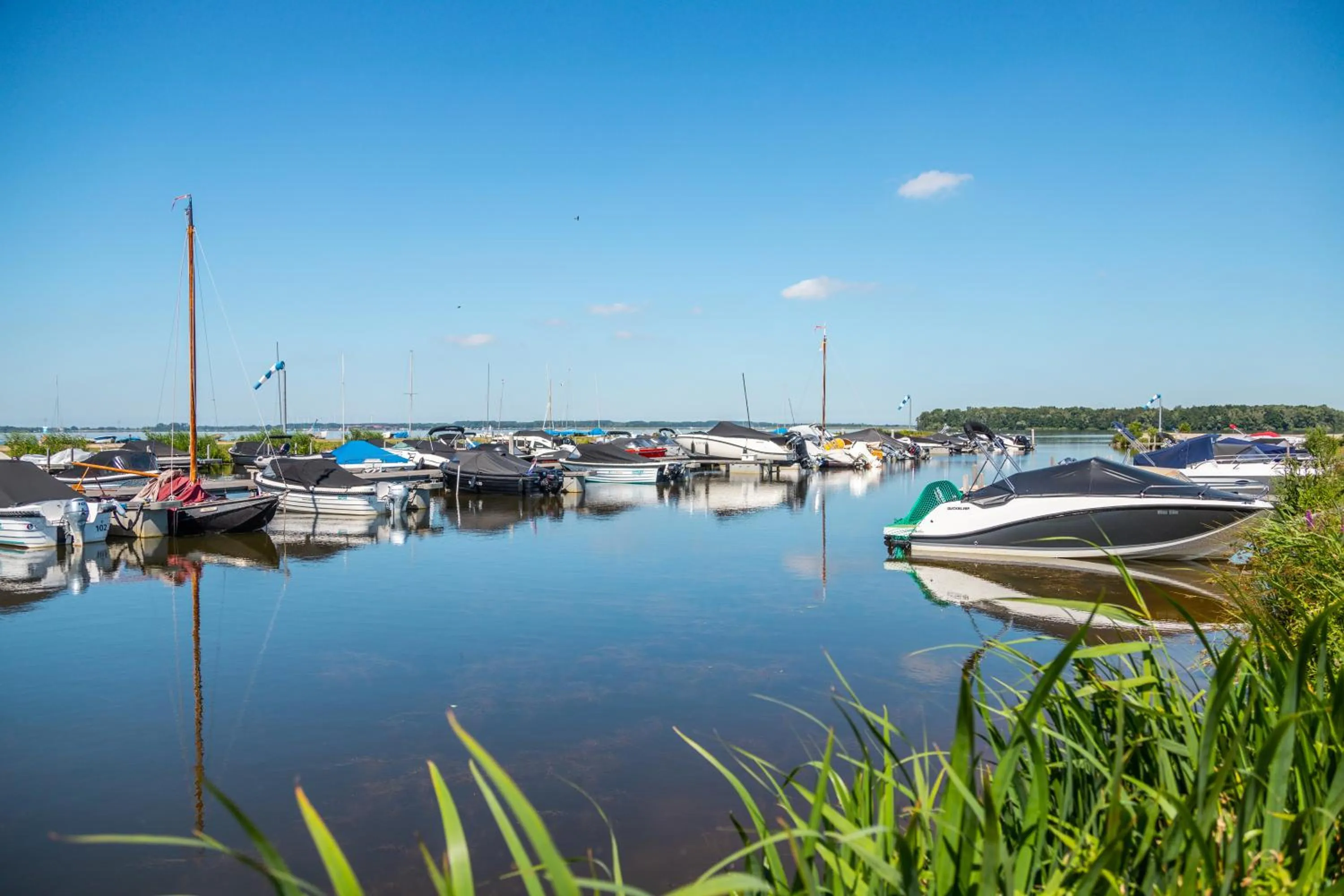Lake view in EuroParcs Bad Hoophuizen