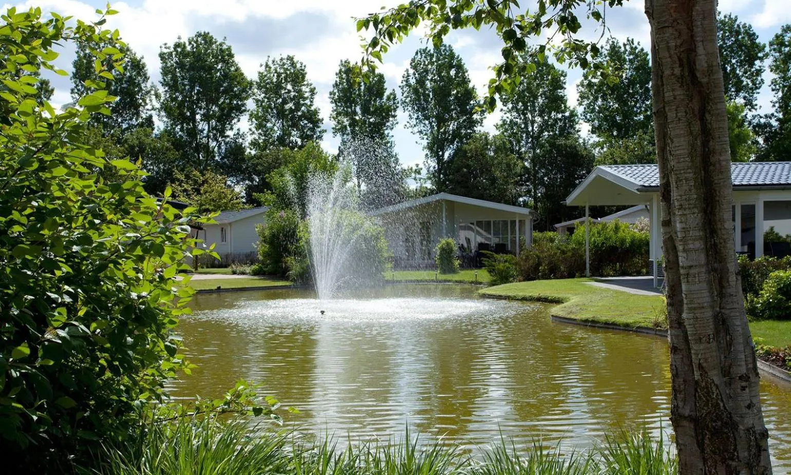 Garden in EuroParcs Molengroet