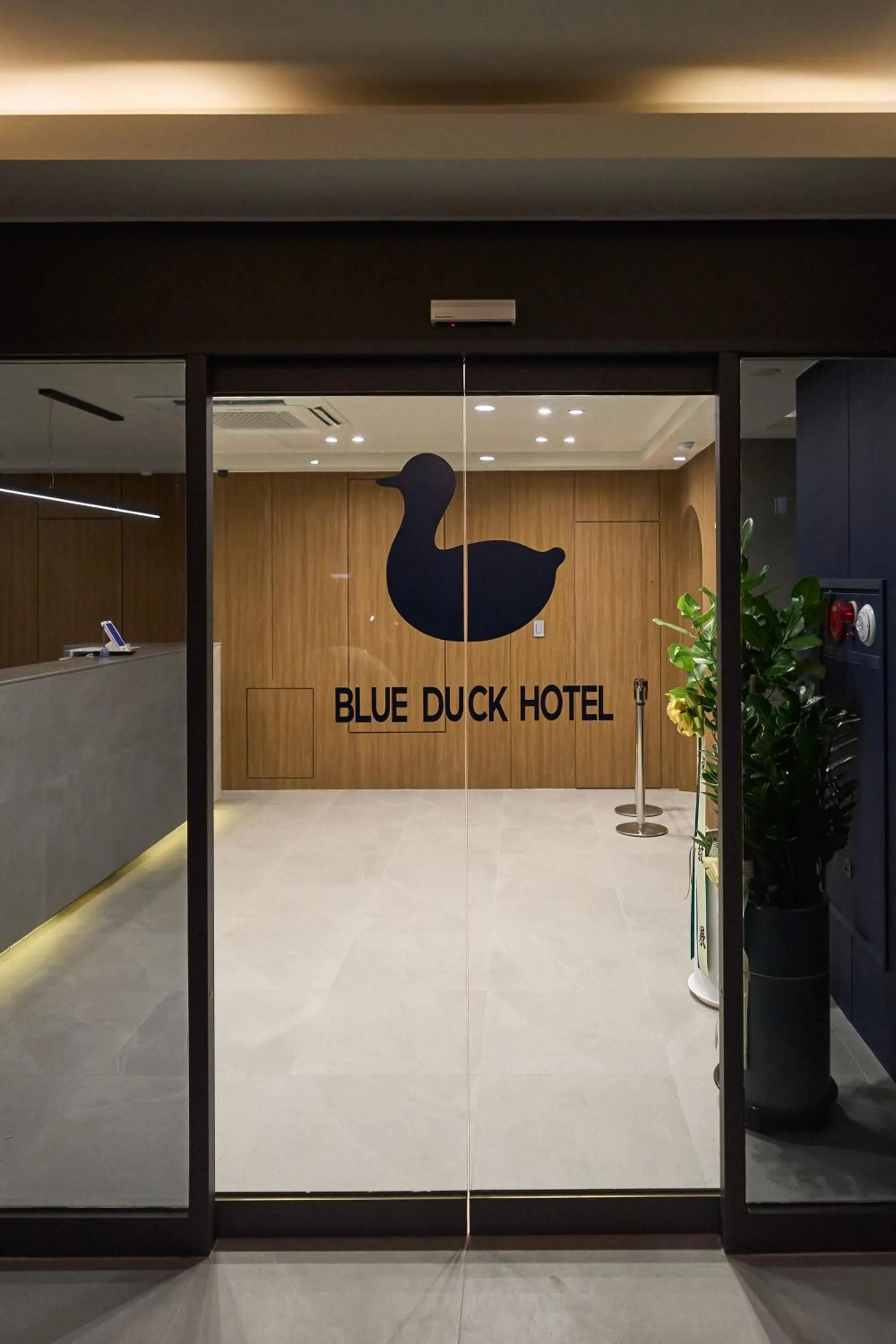 Property building in Blueduck hotel