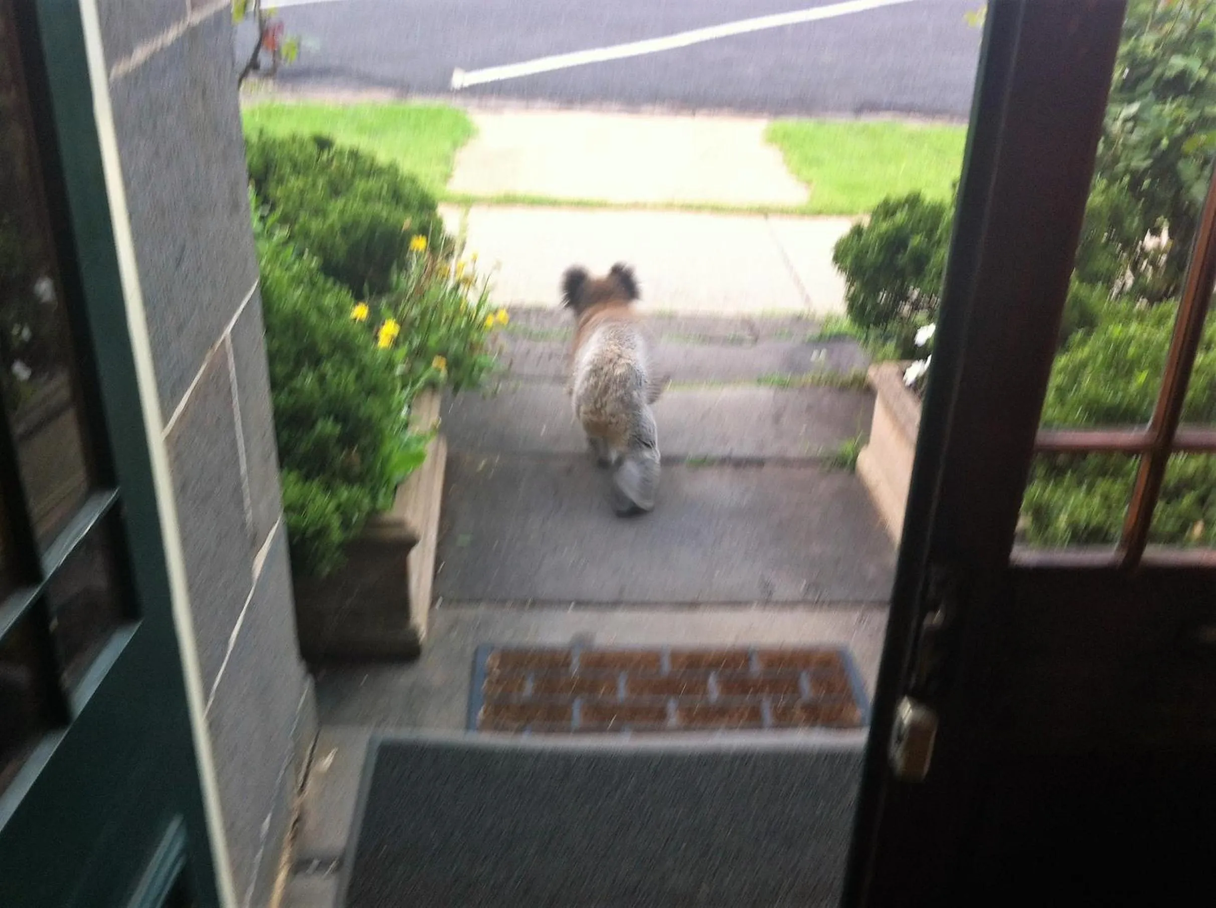 Guests in Victoria House