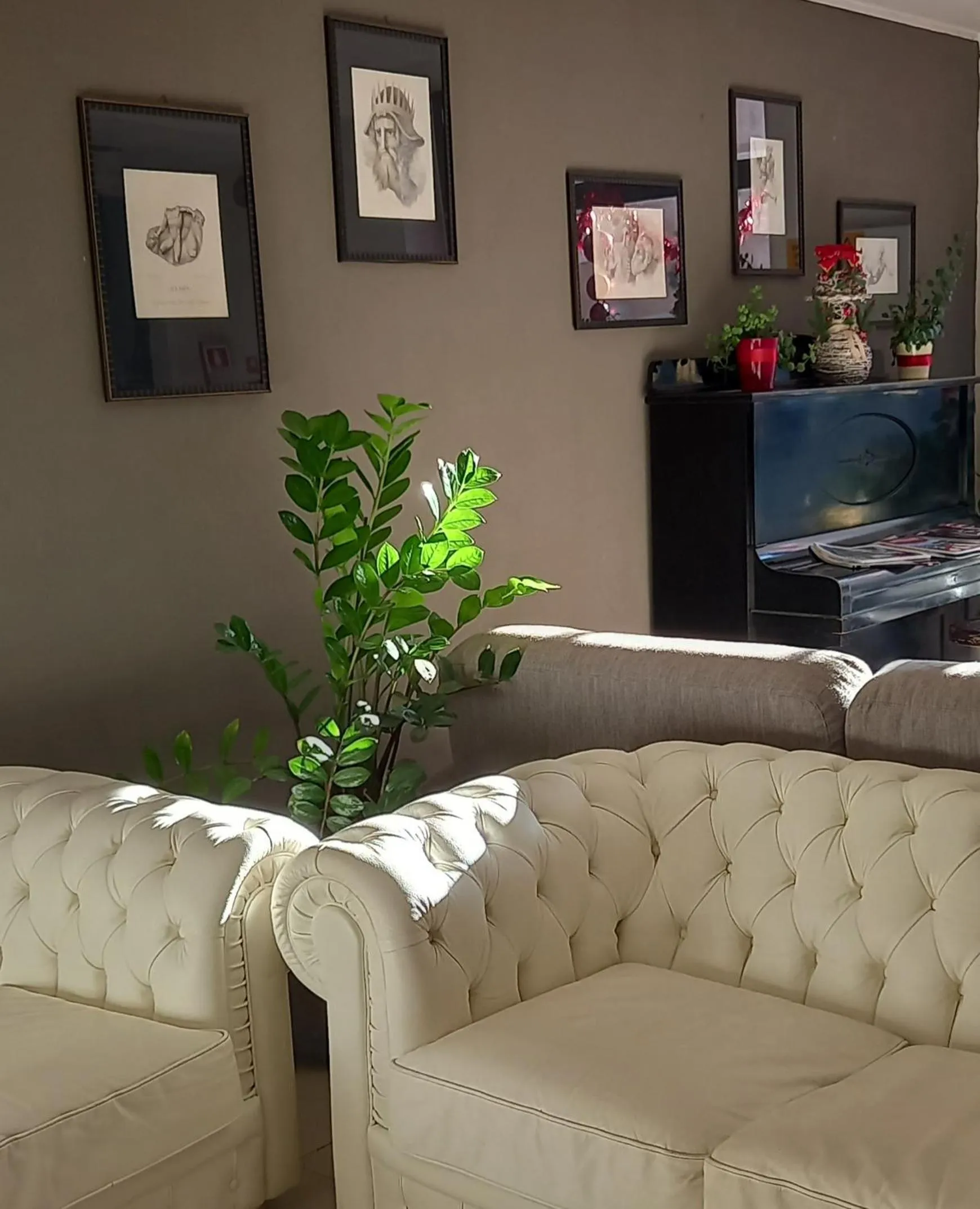 Lobby or reception in Hotel Aniene