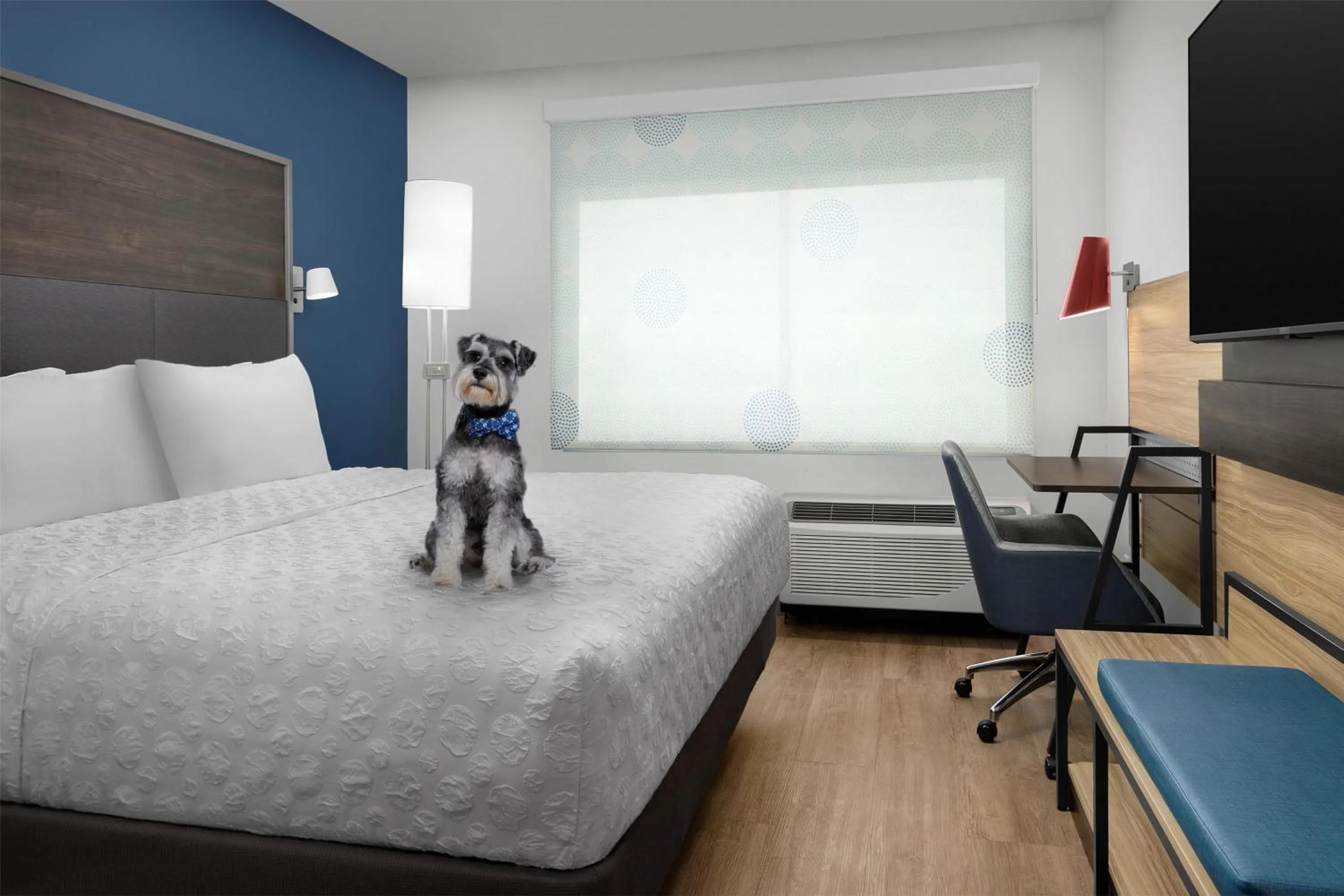 Photo of the whole room, Bed in Tru By Hilton Joliet Plainfield