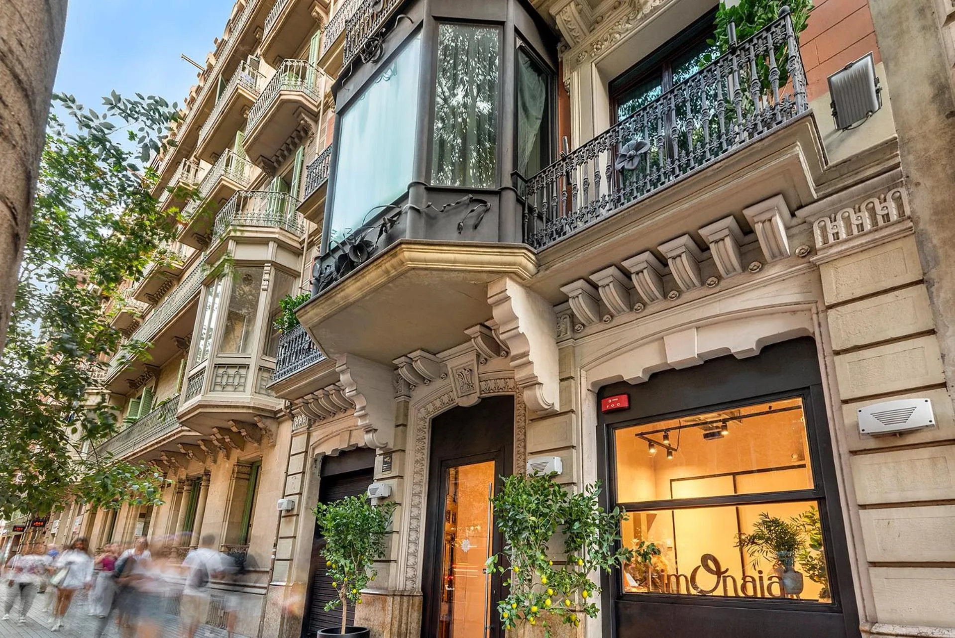 Property building in Limonaia