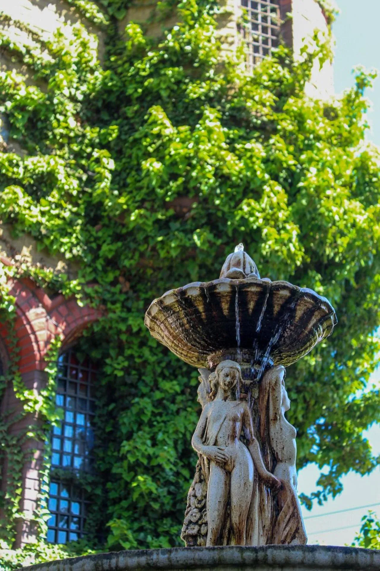 Garden in Castillo Medieval