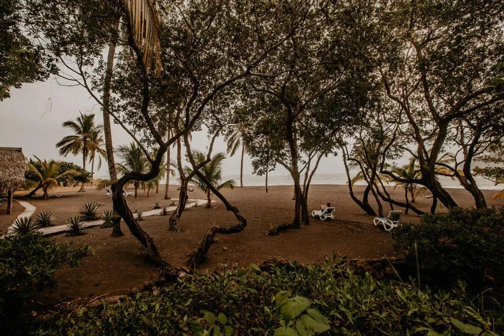 Property building in Sansara Surf Yoga & Resort