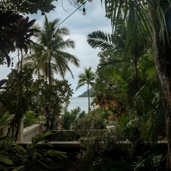 Sansara Surf Yoga & Resort