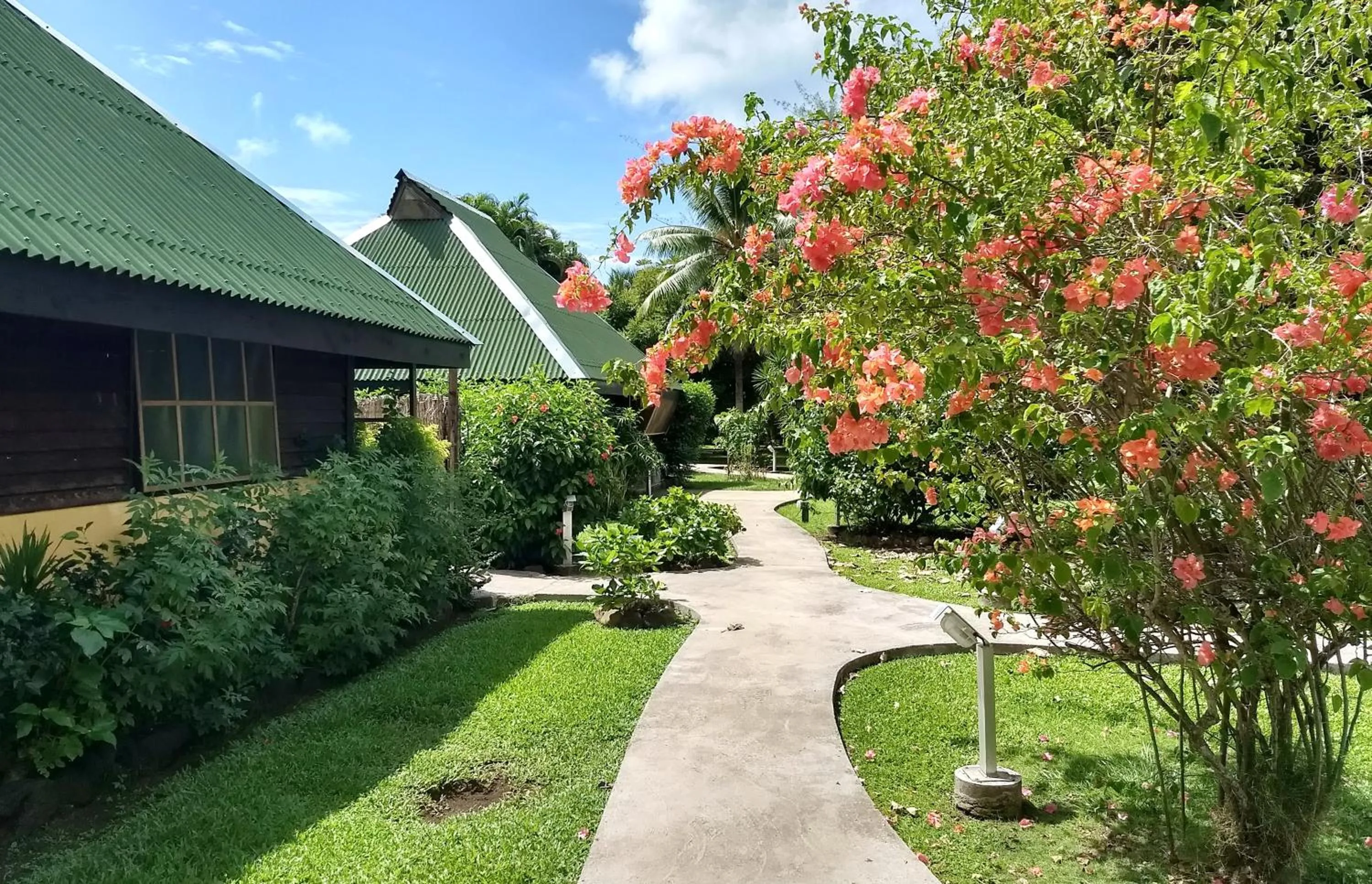 Garden in Pension Les Trois Cascades