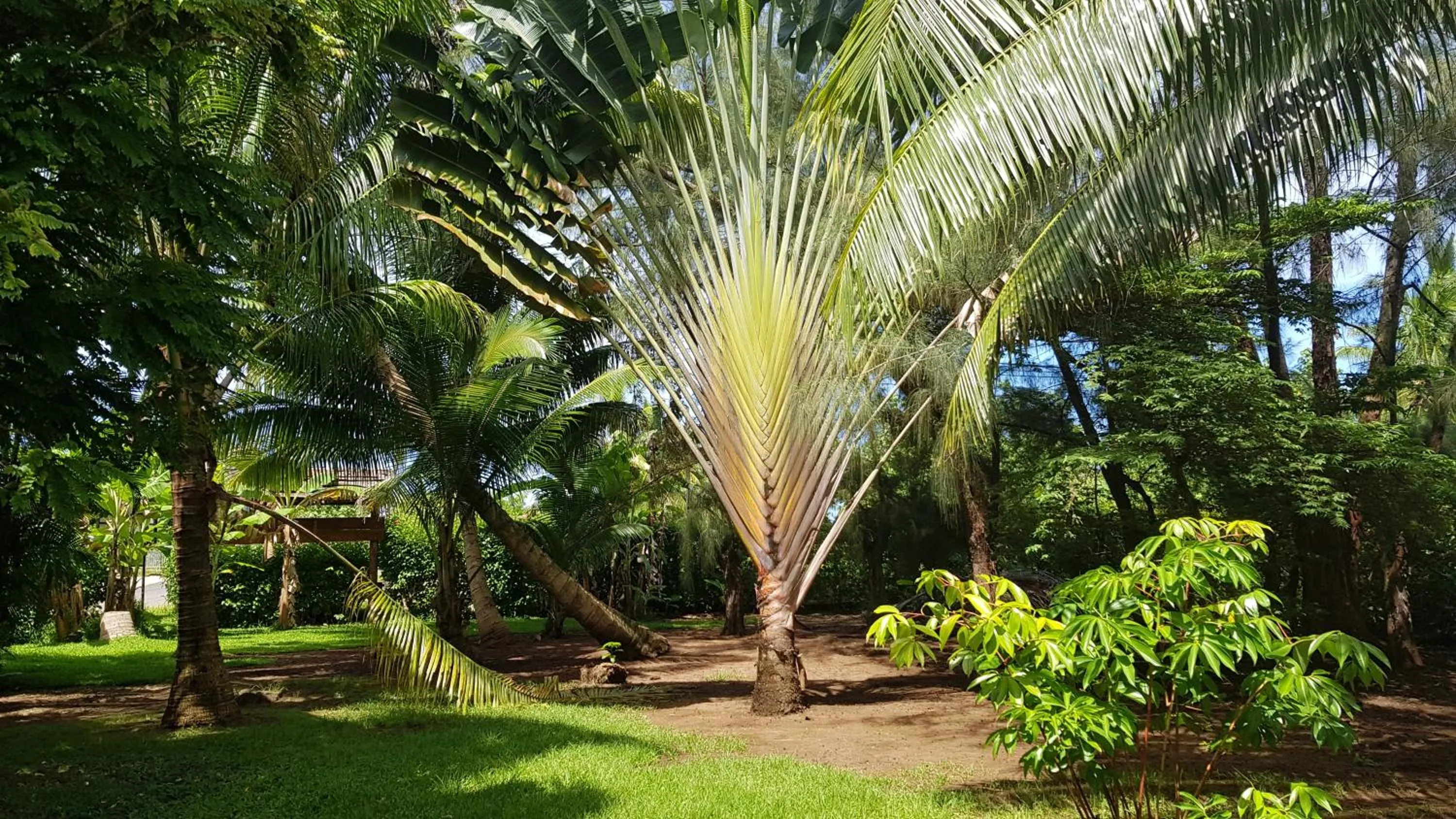 Garden view in Pension Les Trois Cascades