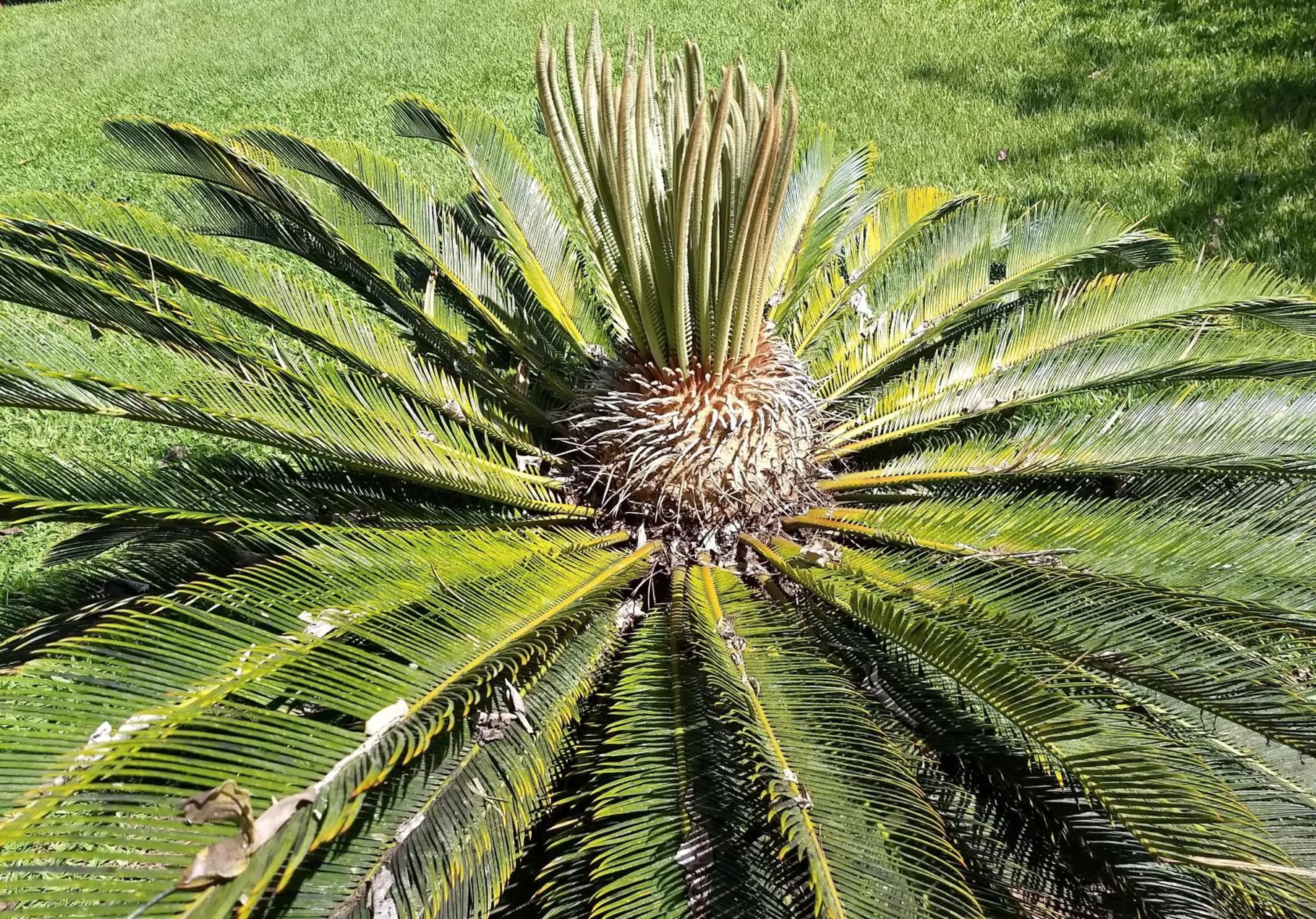 Decorative detail in Pension Les Trois Cascades