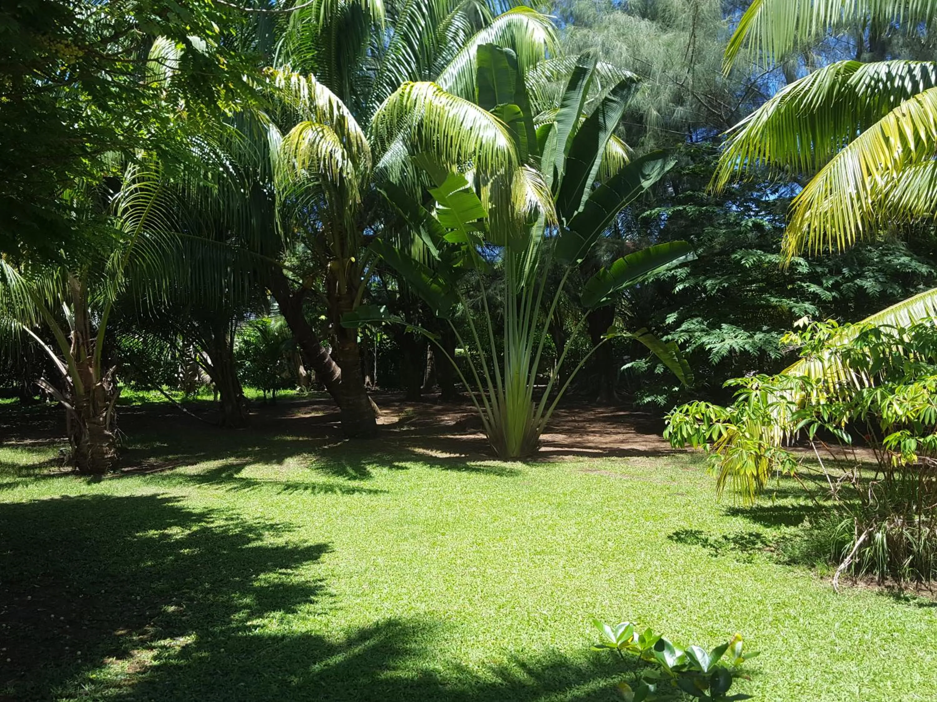 Garden in Pension Les Trois Cascades