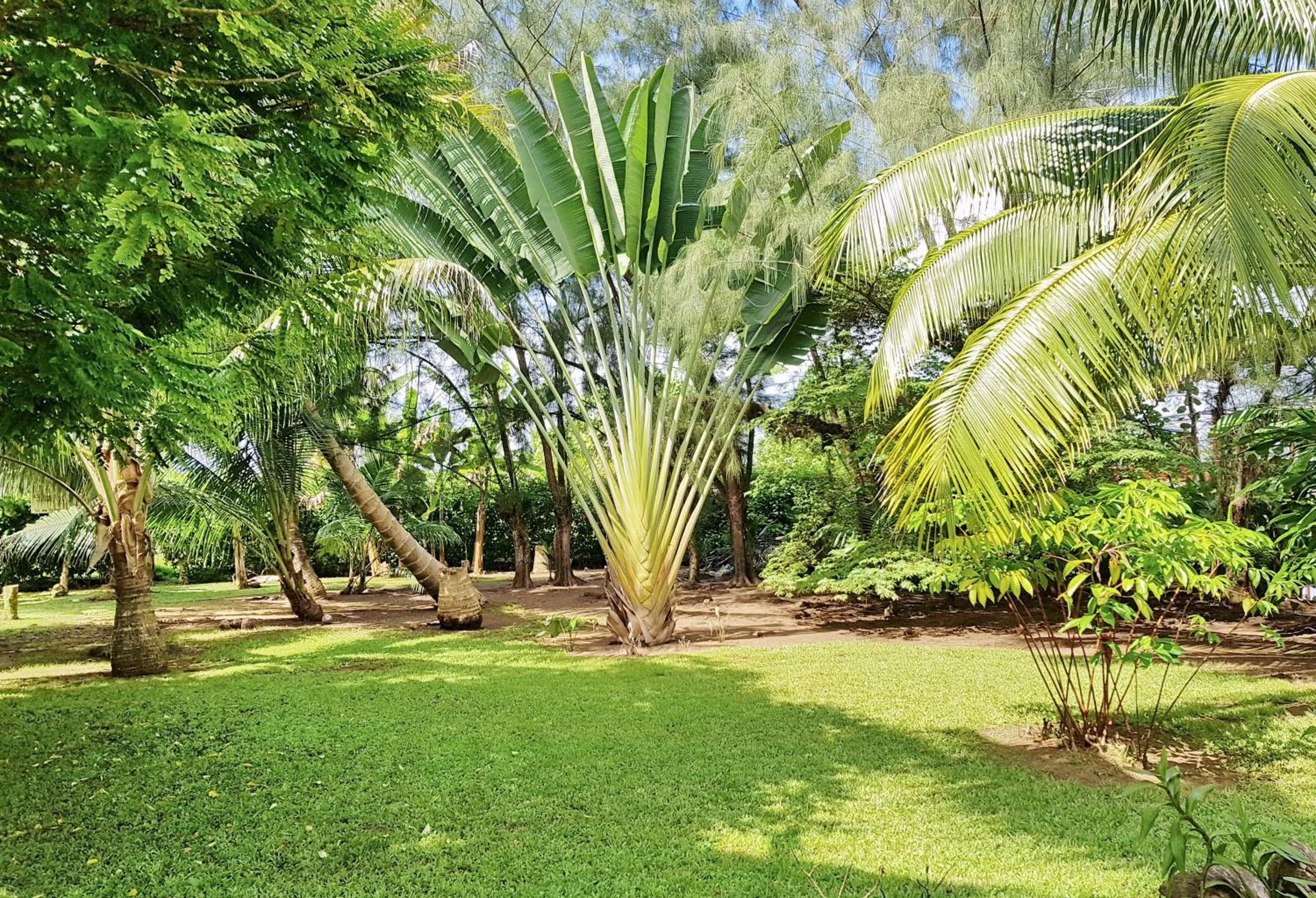 Garden in Pension Les Trois Cascades
