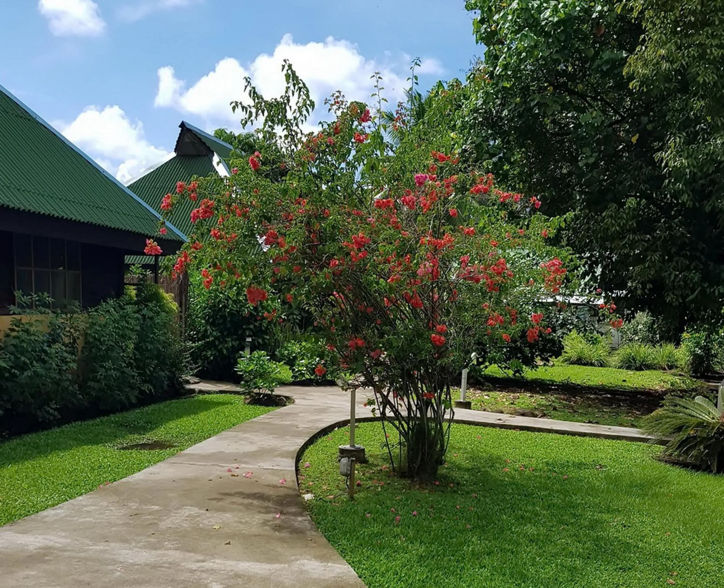 Garden in Pension Les Trois Cascades