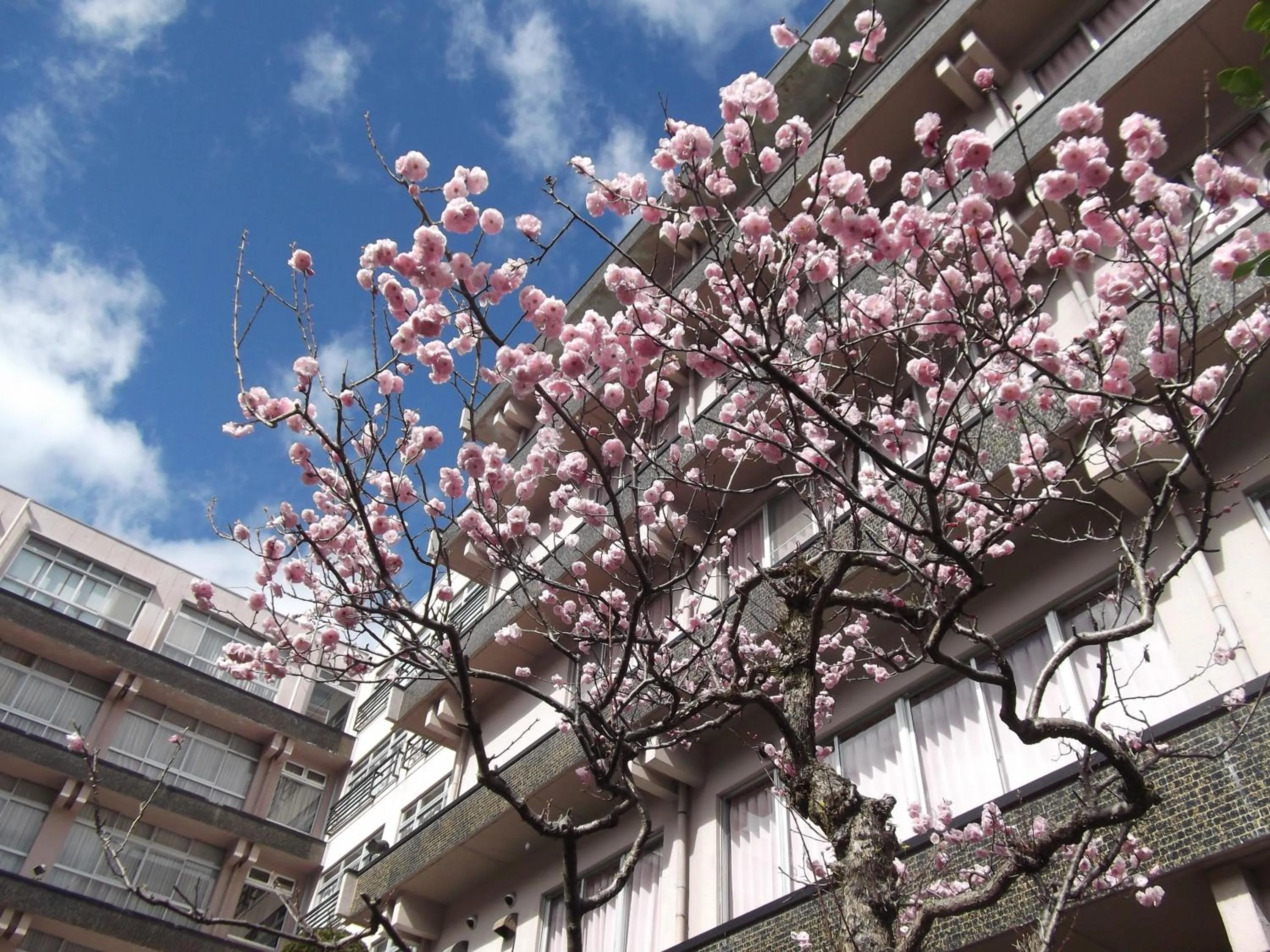 Property building in Bosenkan