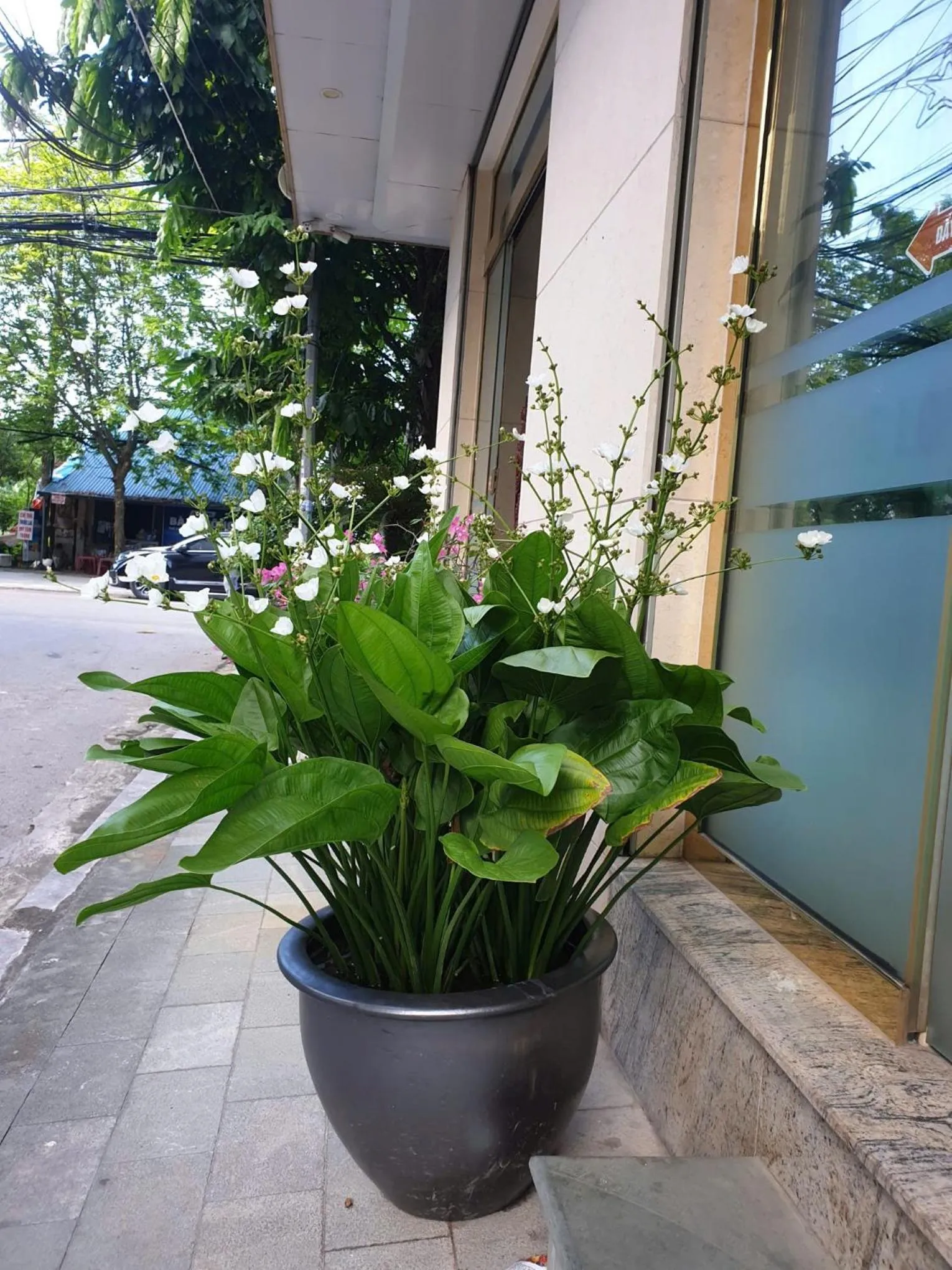 Parking in Thăng Long Hotel Thanh Hoá