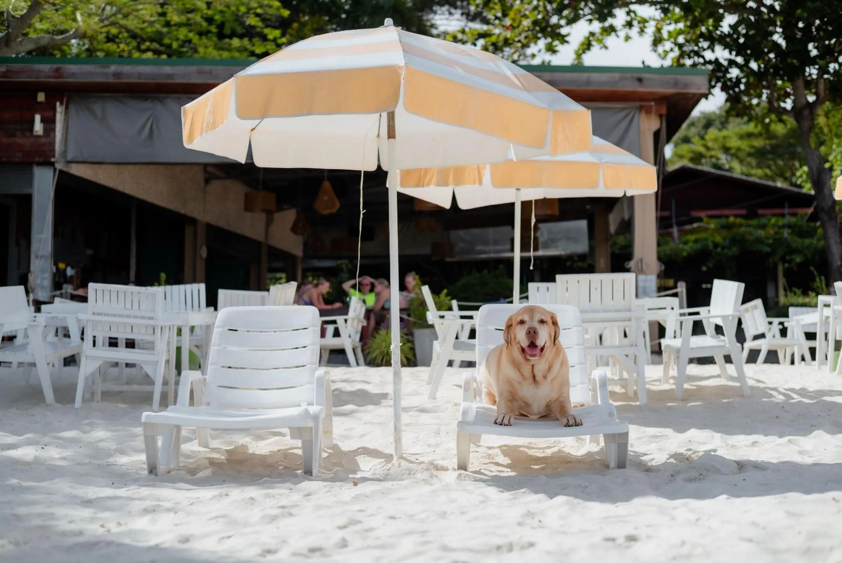 sunbed in Tubtim Resort