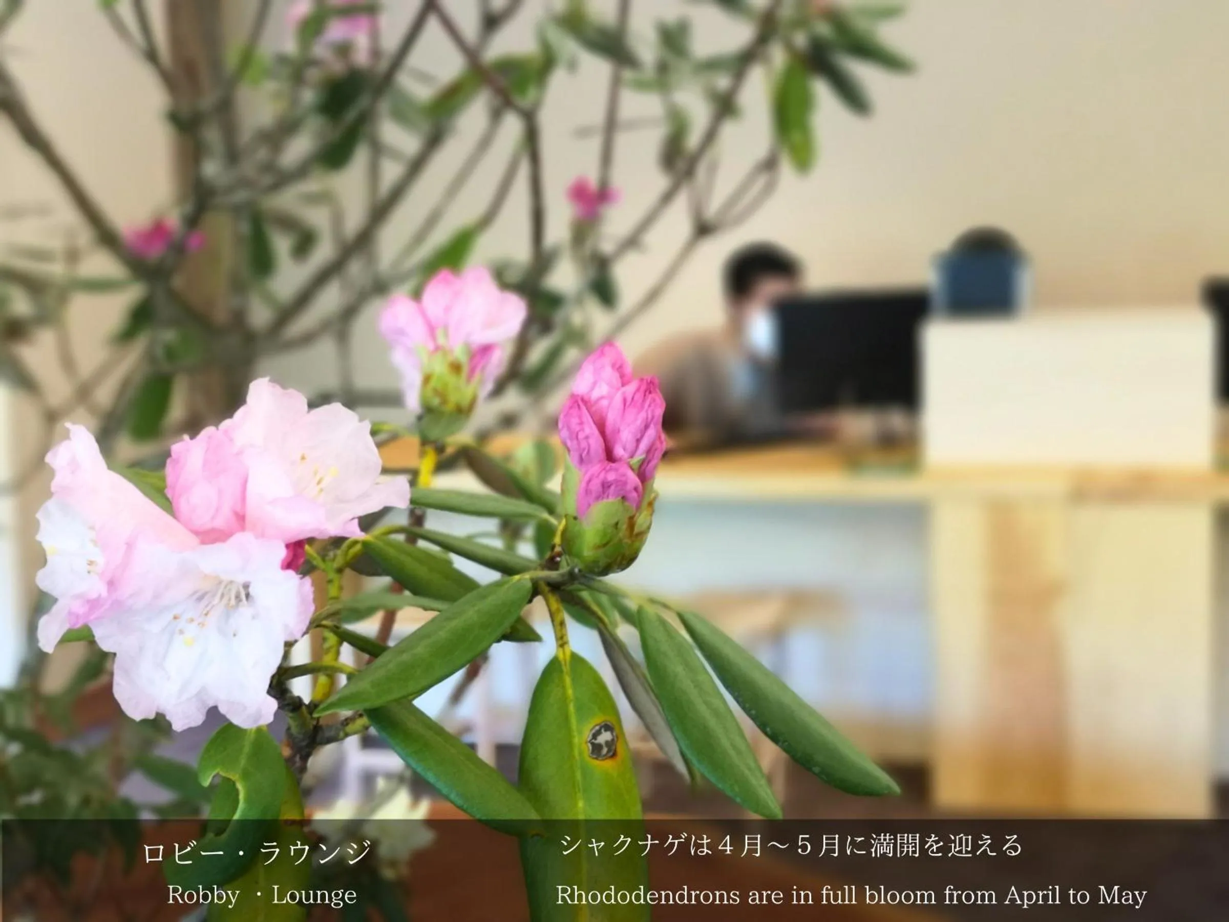 Lobby or reception in Tatsuta Ryokan