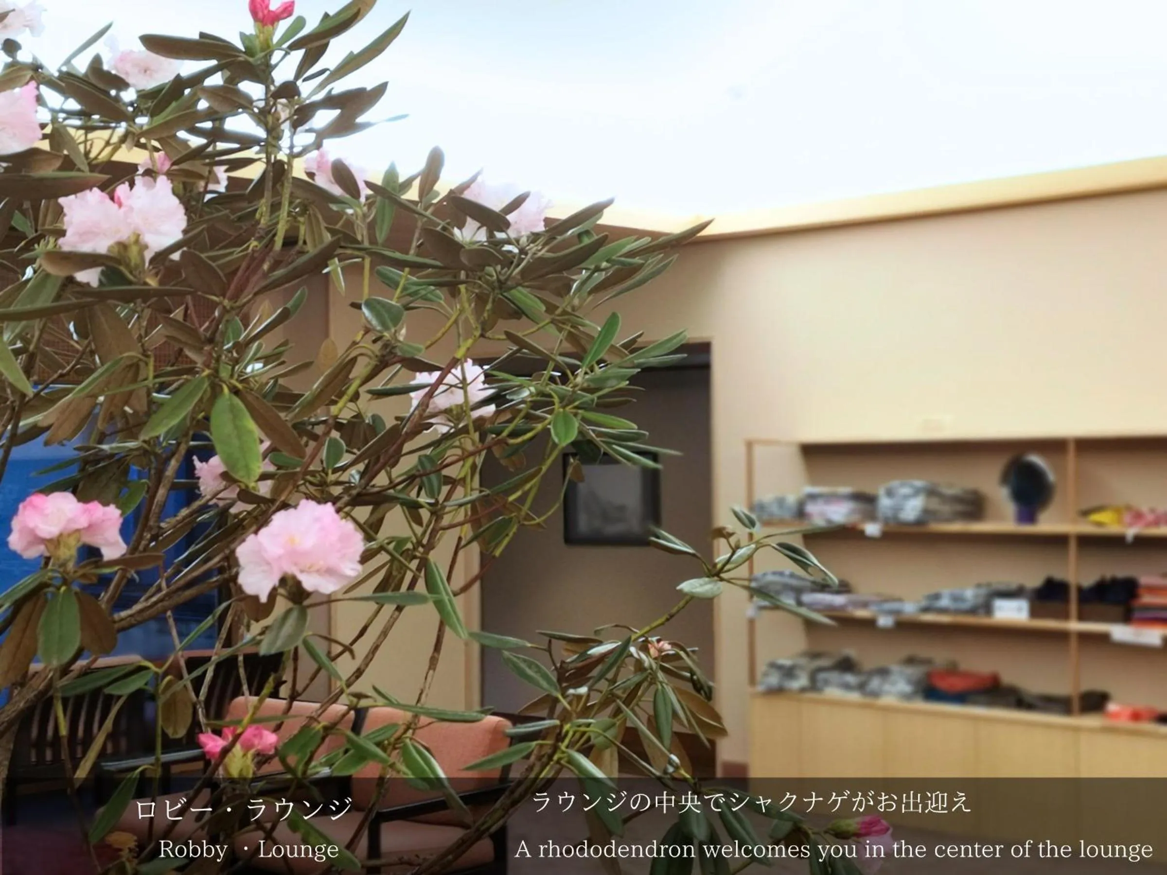 Lobby or reception in Tatsuta Ryokan