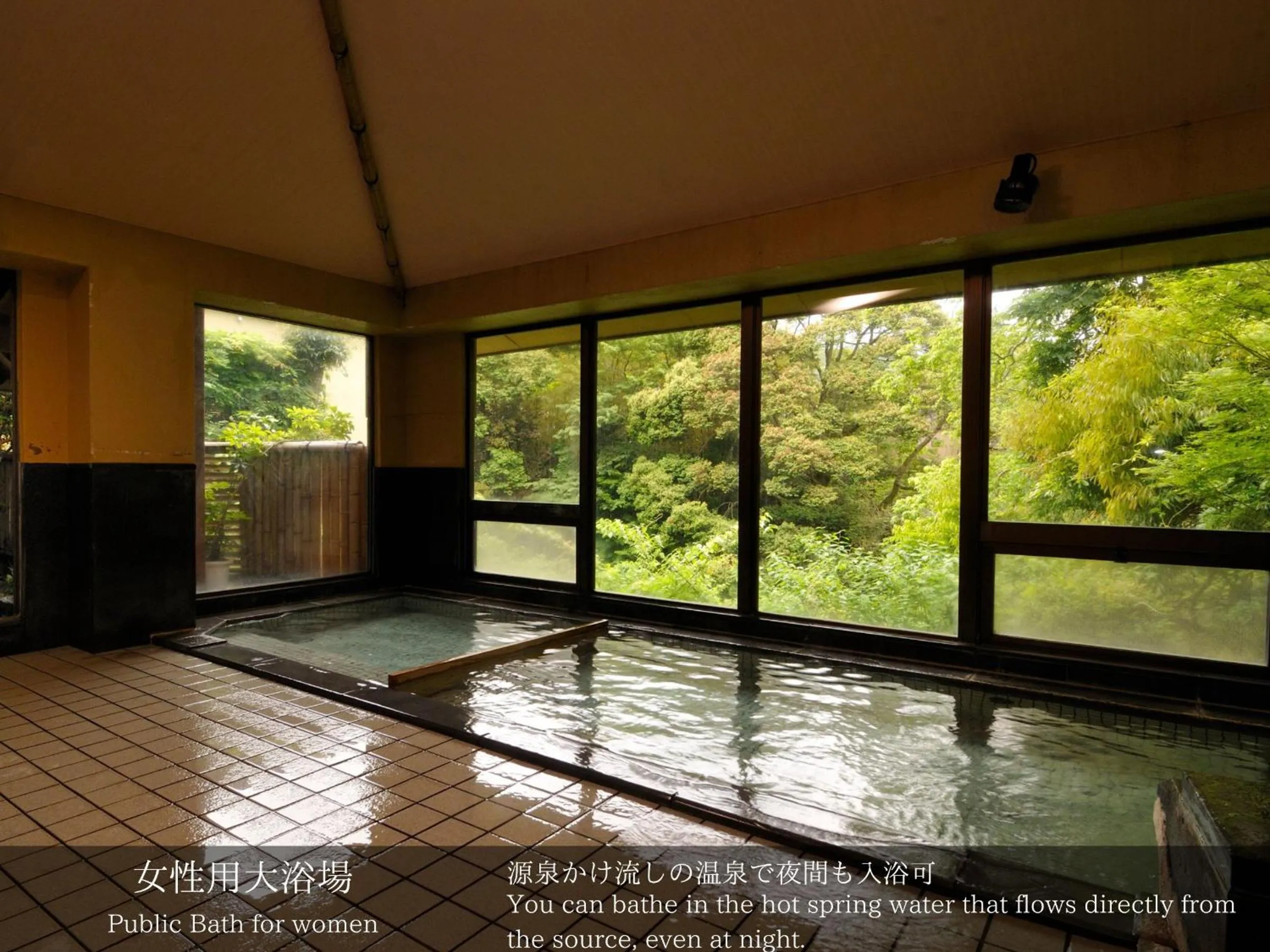 Public Bath in Tatsuta Ryokan