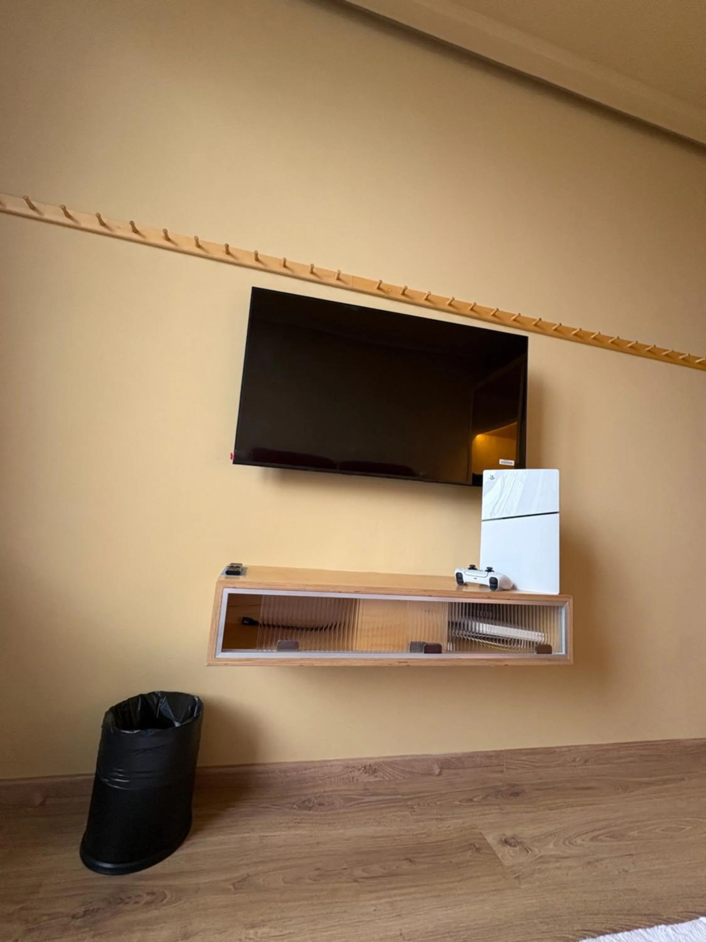 TV and multimedia in Sleepover