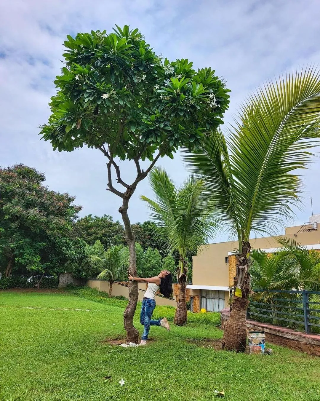 Bansari Greens Resort