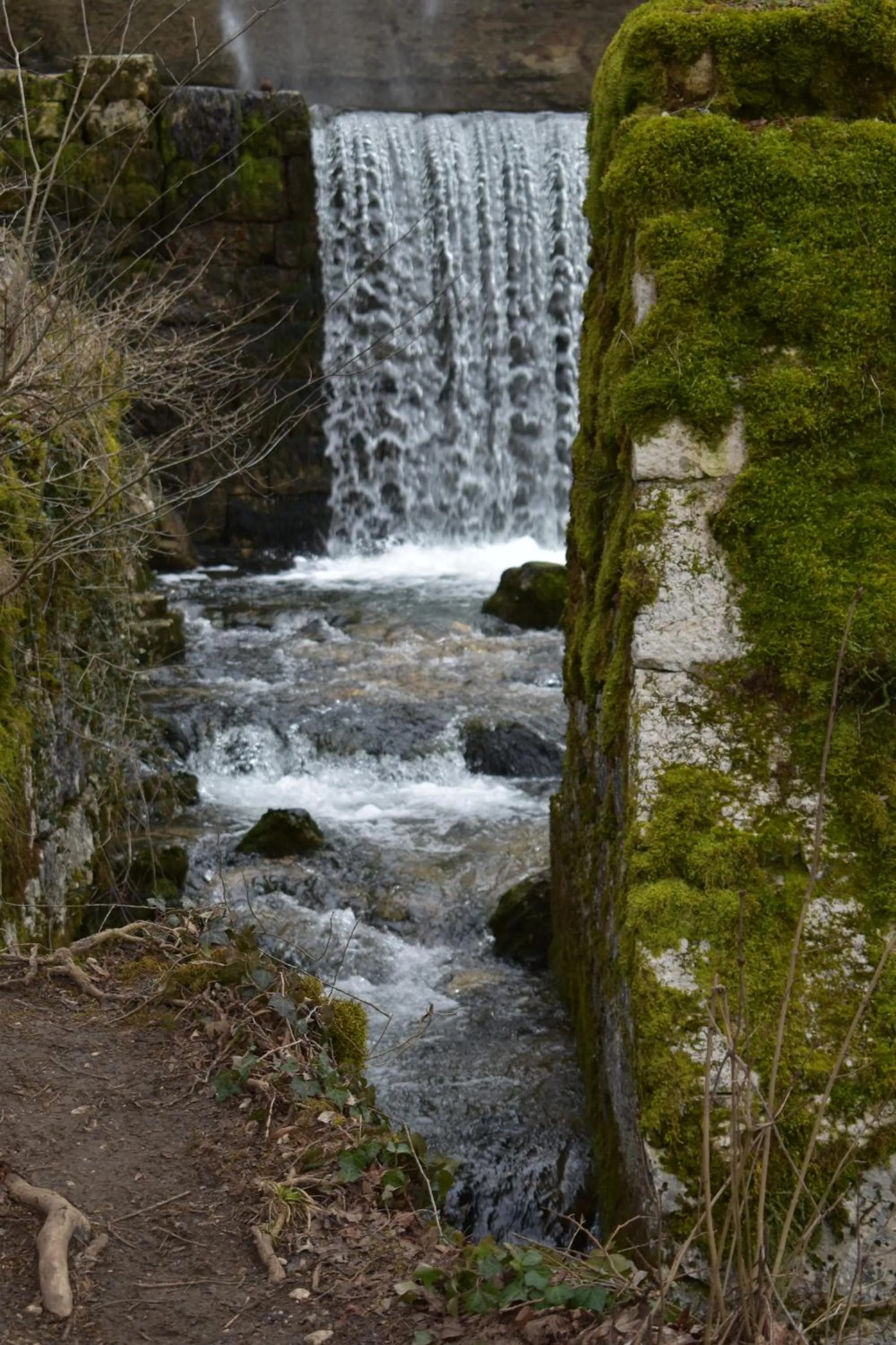 Natural landscape in Hôtel Le Mélèze