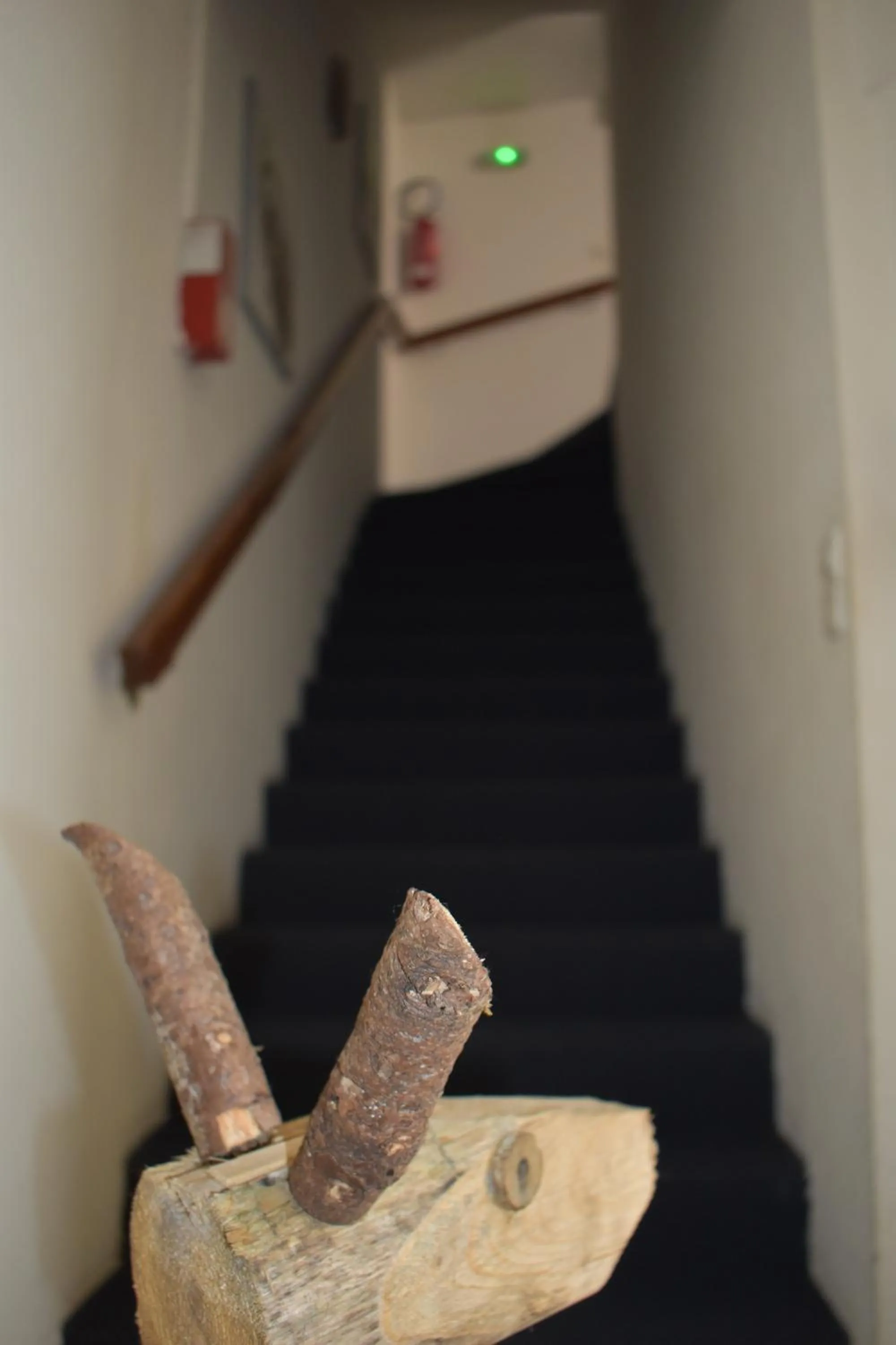 Lobby or reception in Hôtel Le Mélèze