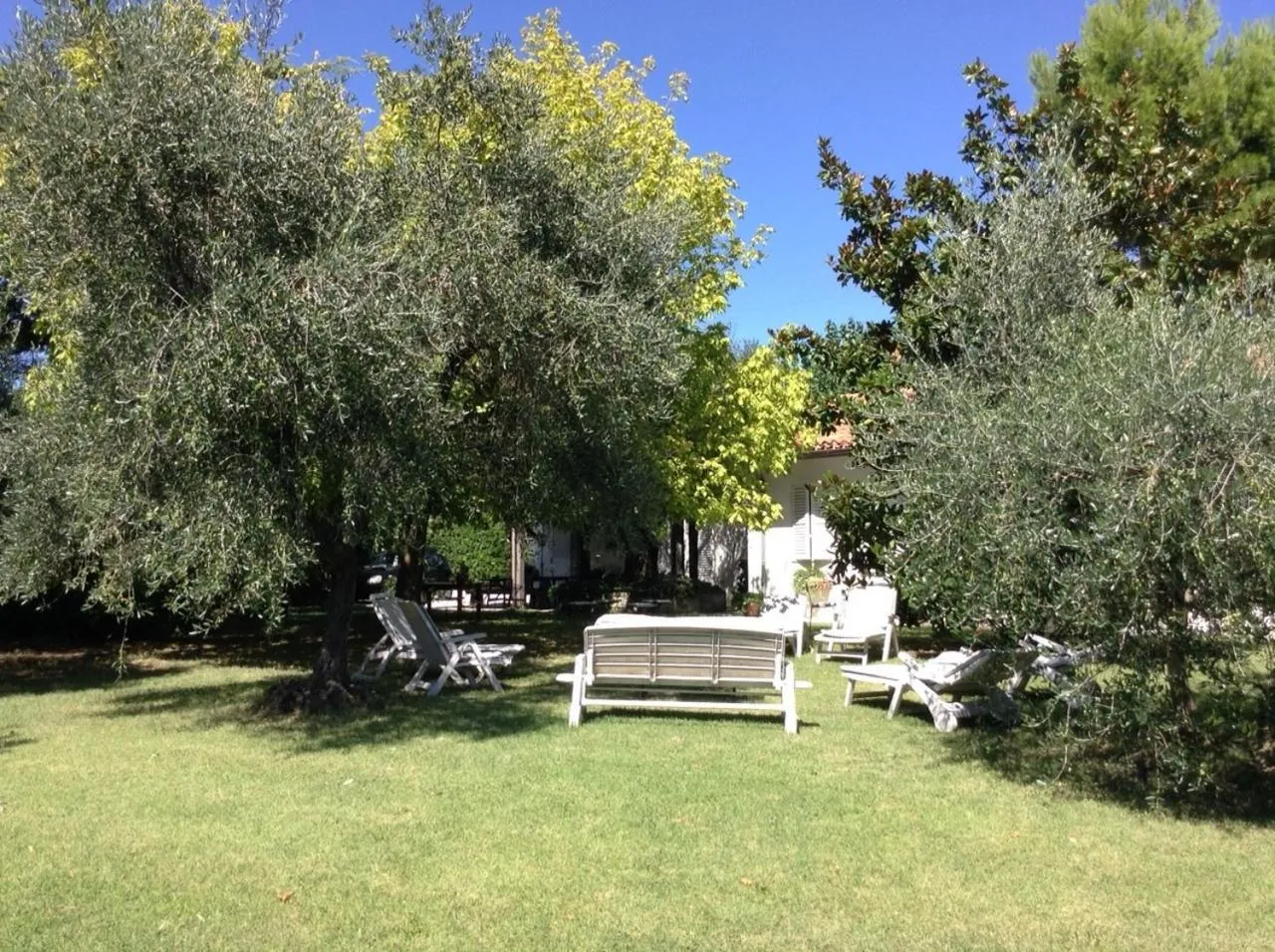 Trecentolivi B&b