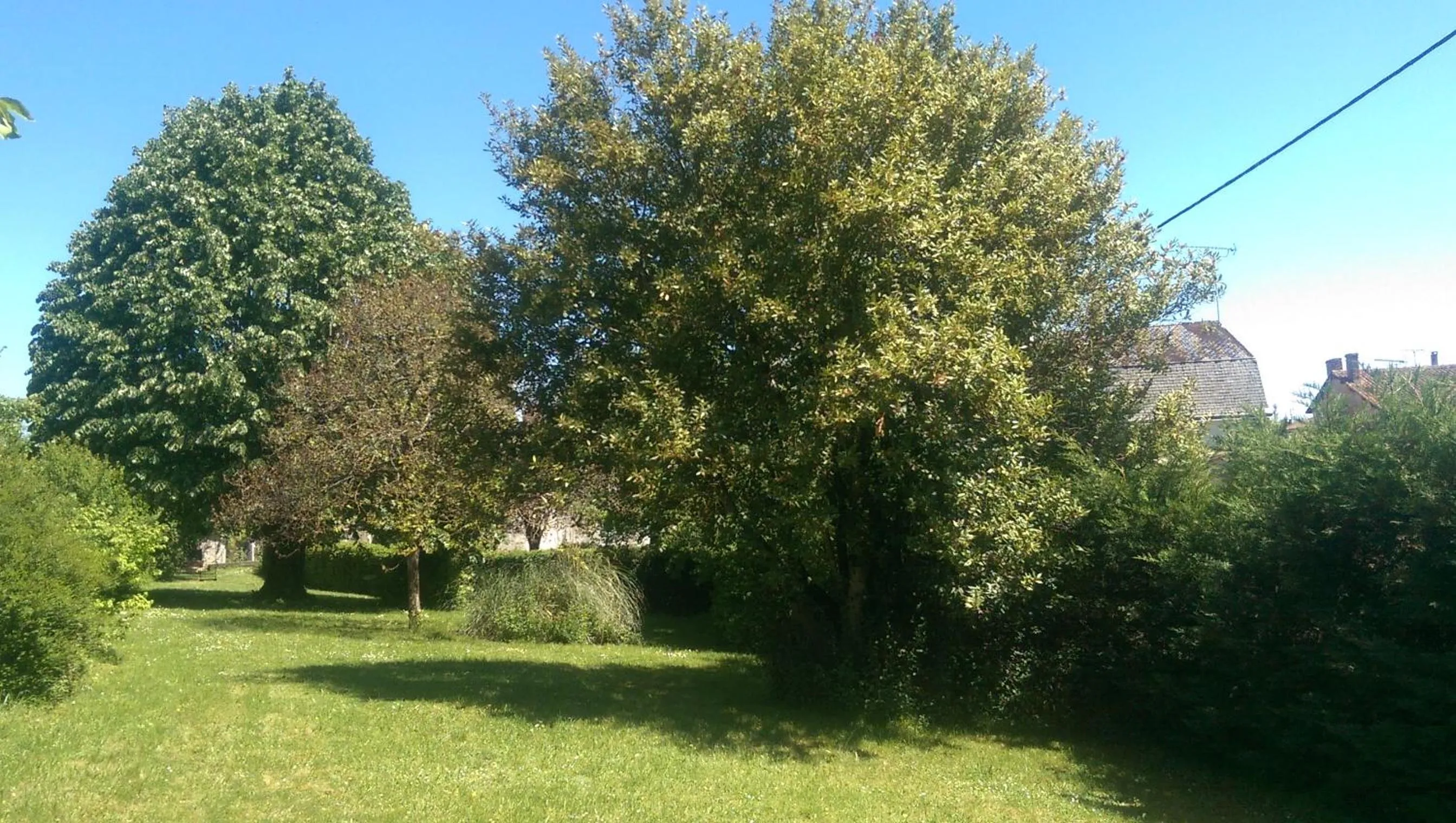 Garden view in Vingt Grand Rue