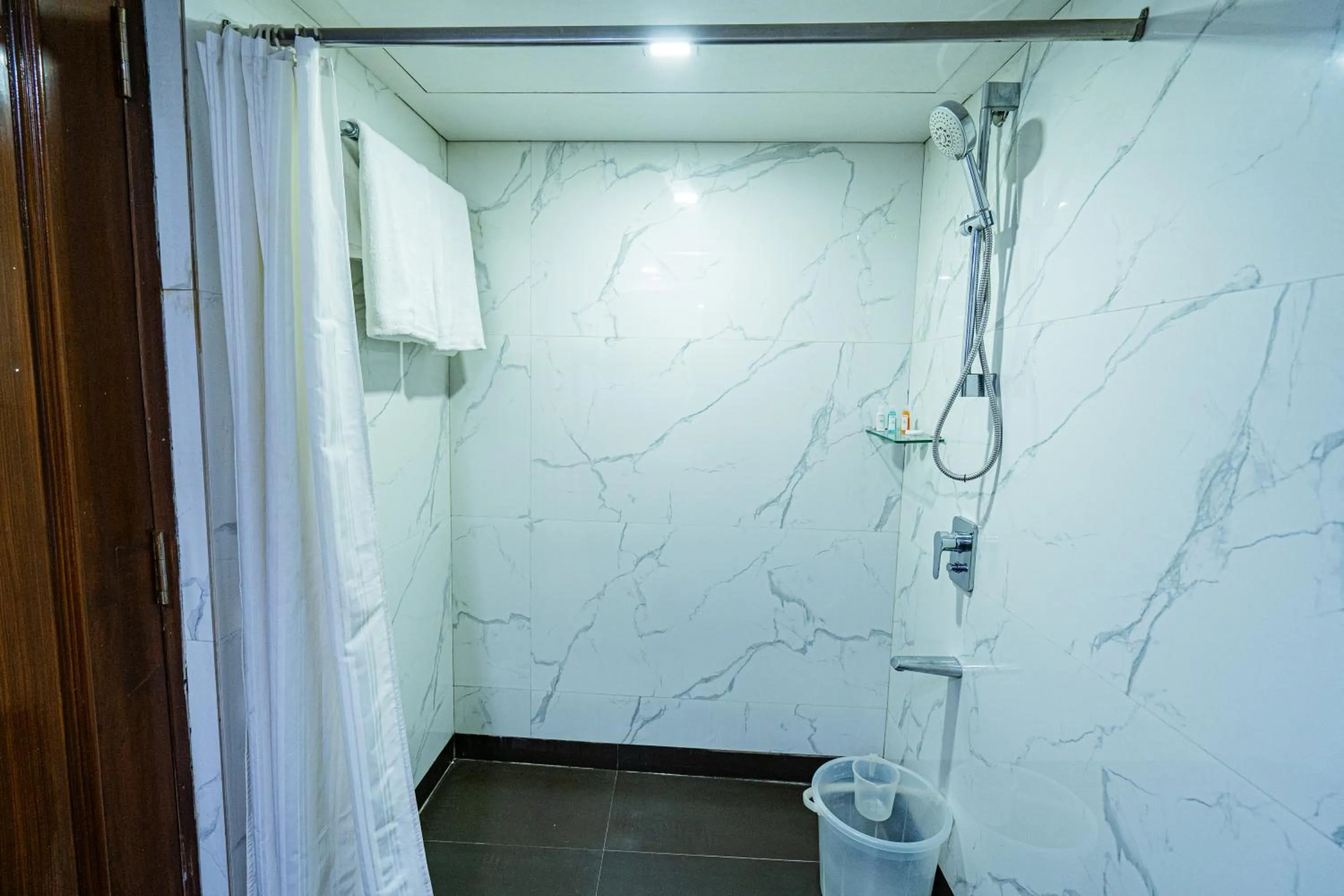 Shower in Hotel Mayura