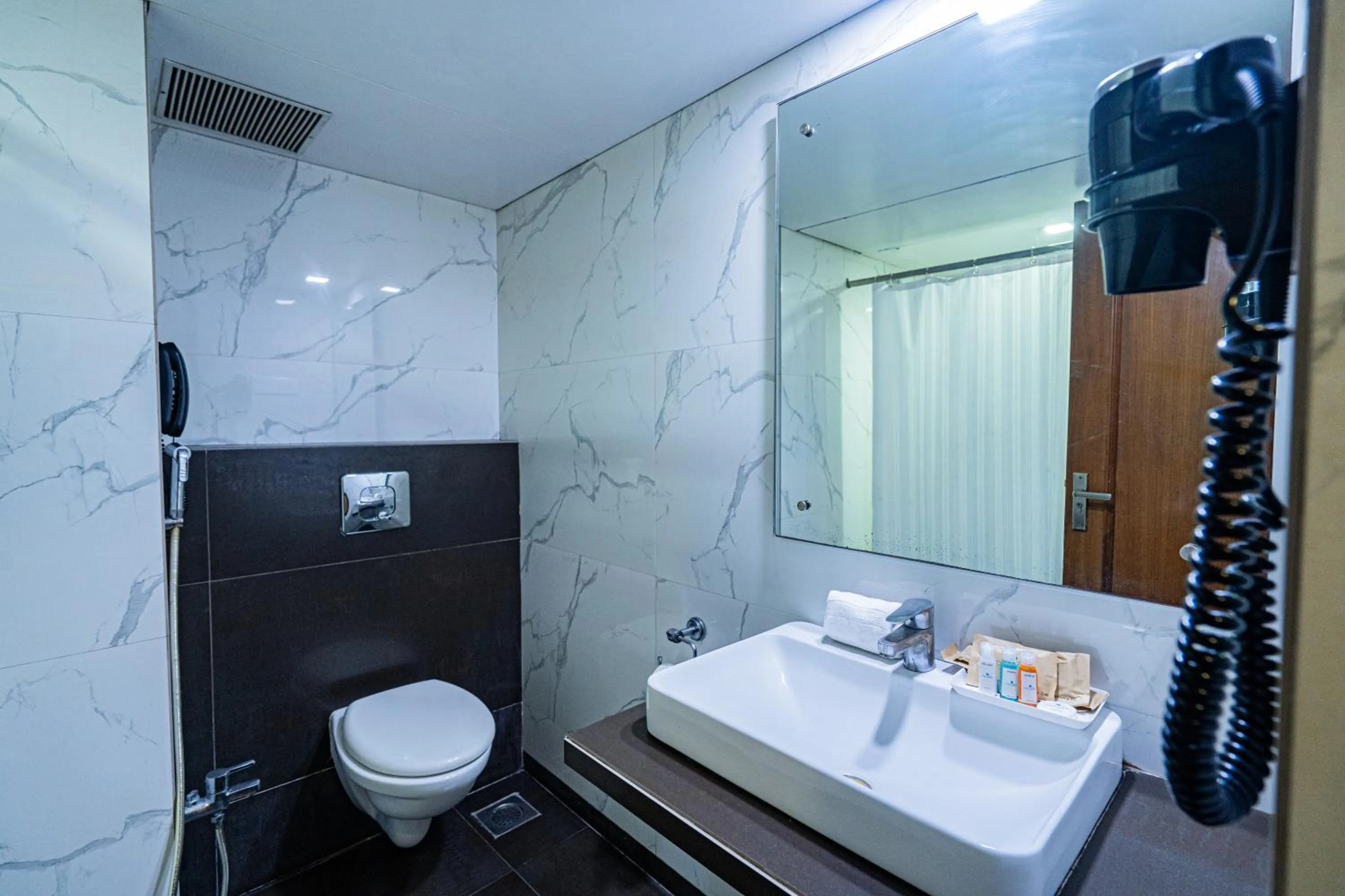 Shower in Hotel Mayura