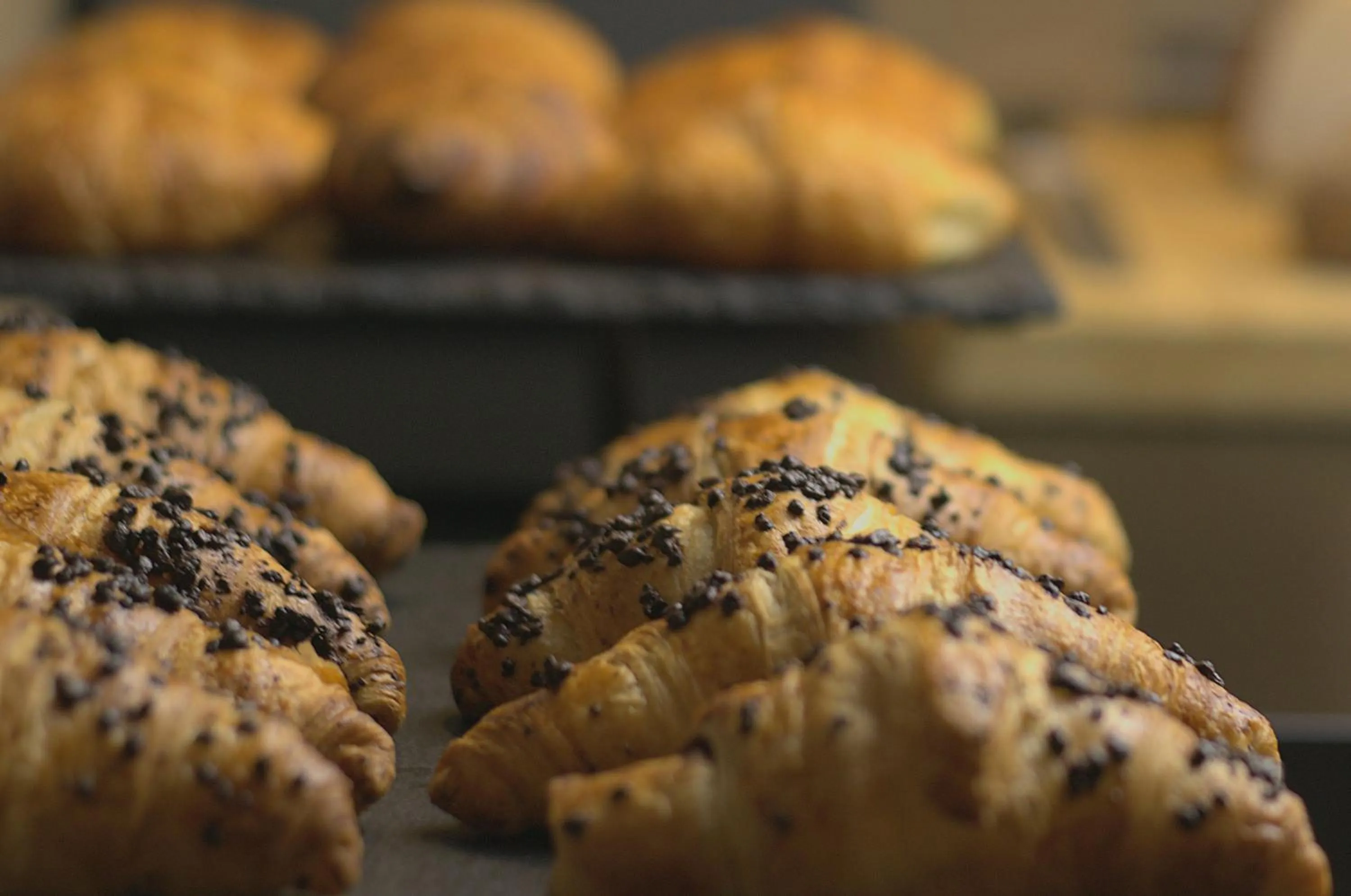 Buffet breakfast in 12 Revay Hotel