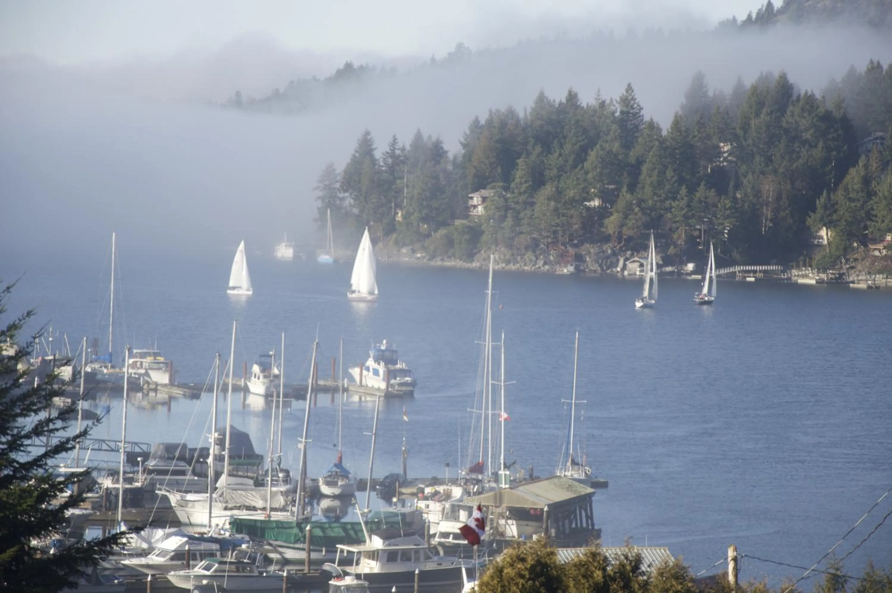 Natural landscape in Enchanter Ocean View Suites