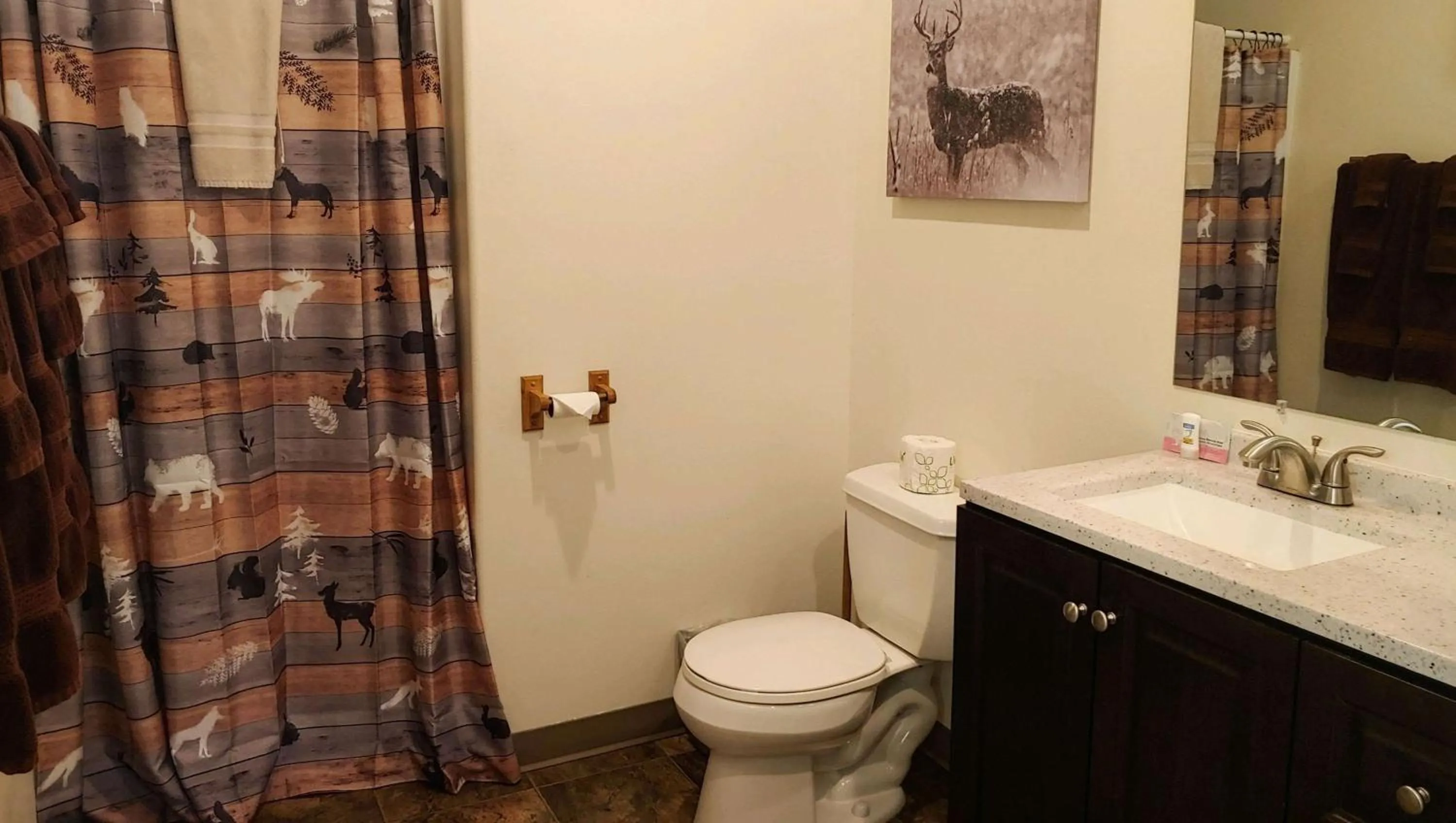 Bathroom in Dodge Peak Lodge