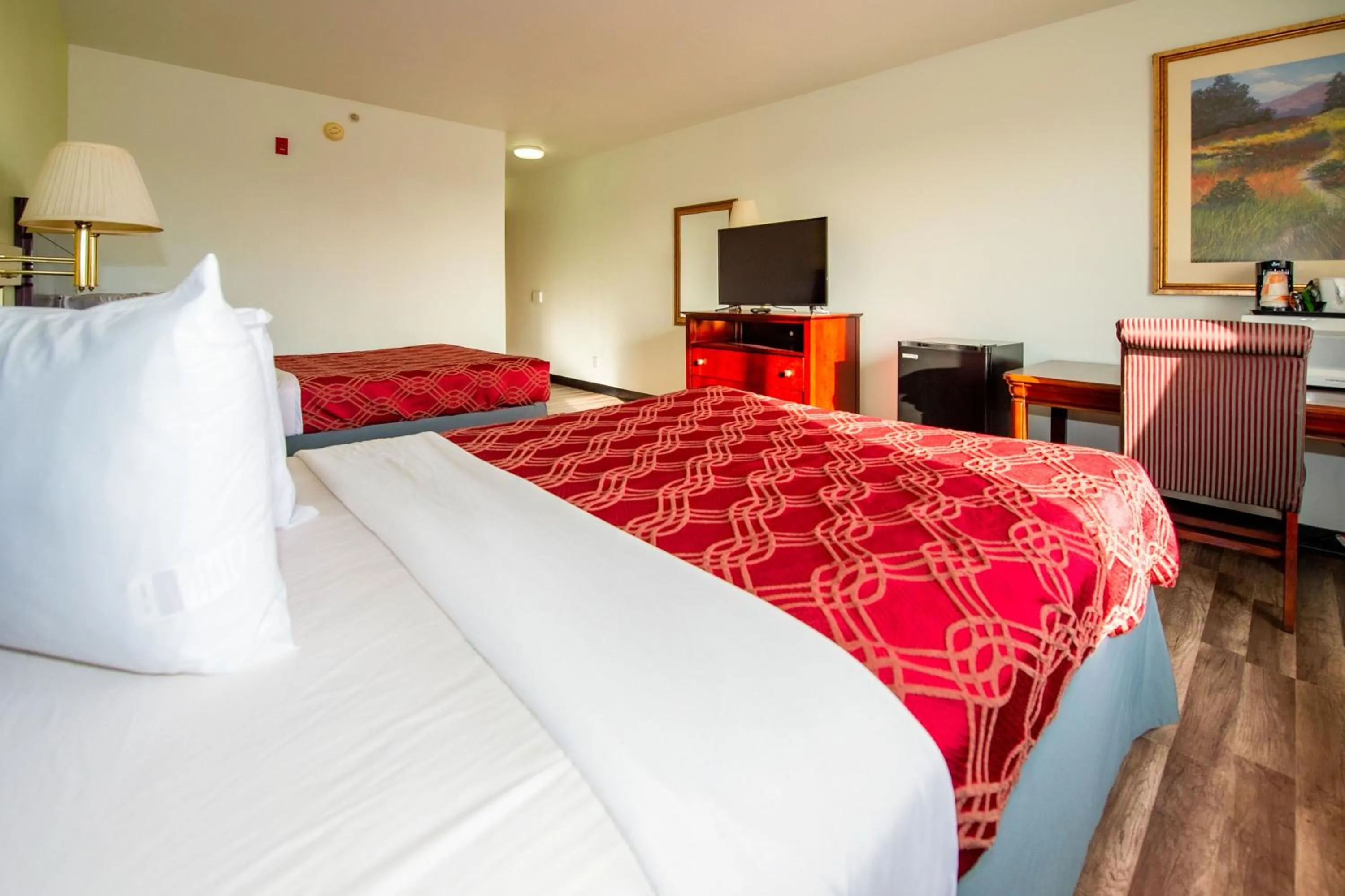 Bed in Rodeway Inn Central Colorado Springs