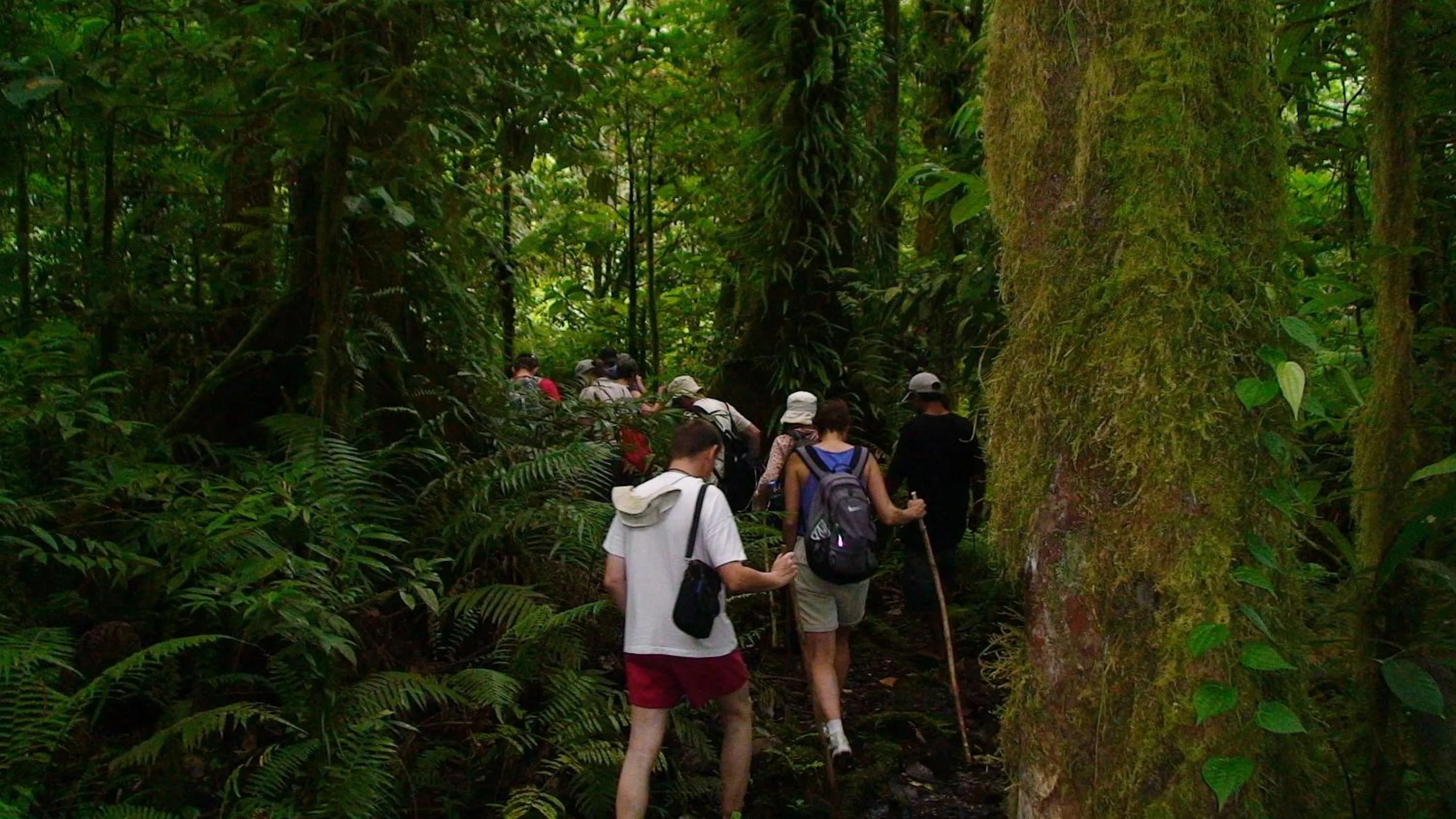 Hiking in Kosrae Nautilus Resort