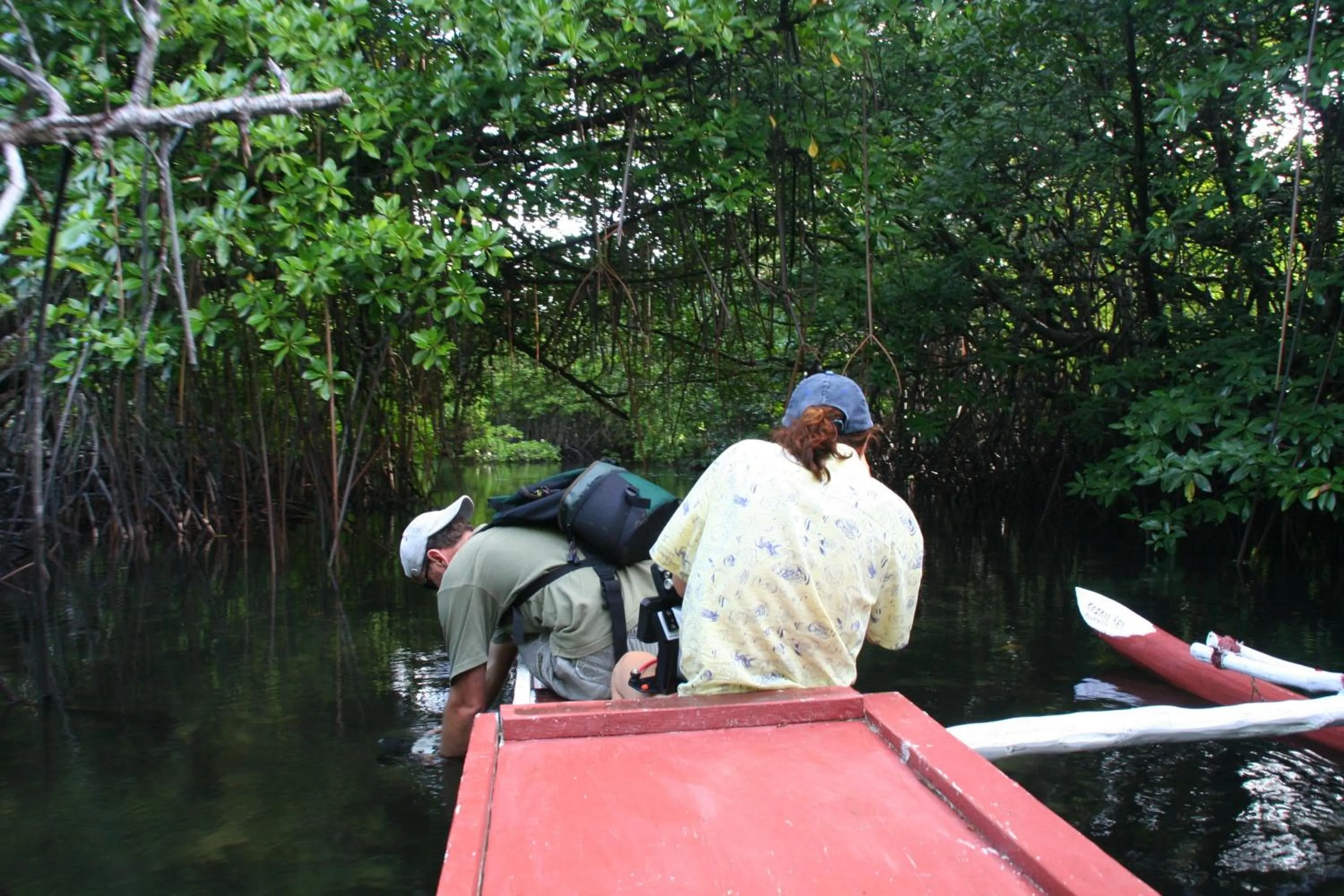 Natural landscape in Kosrae Nautilus Resort