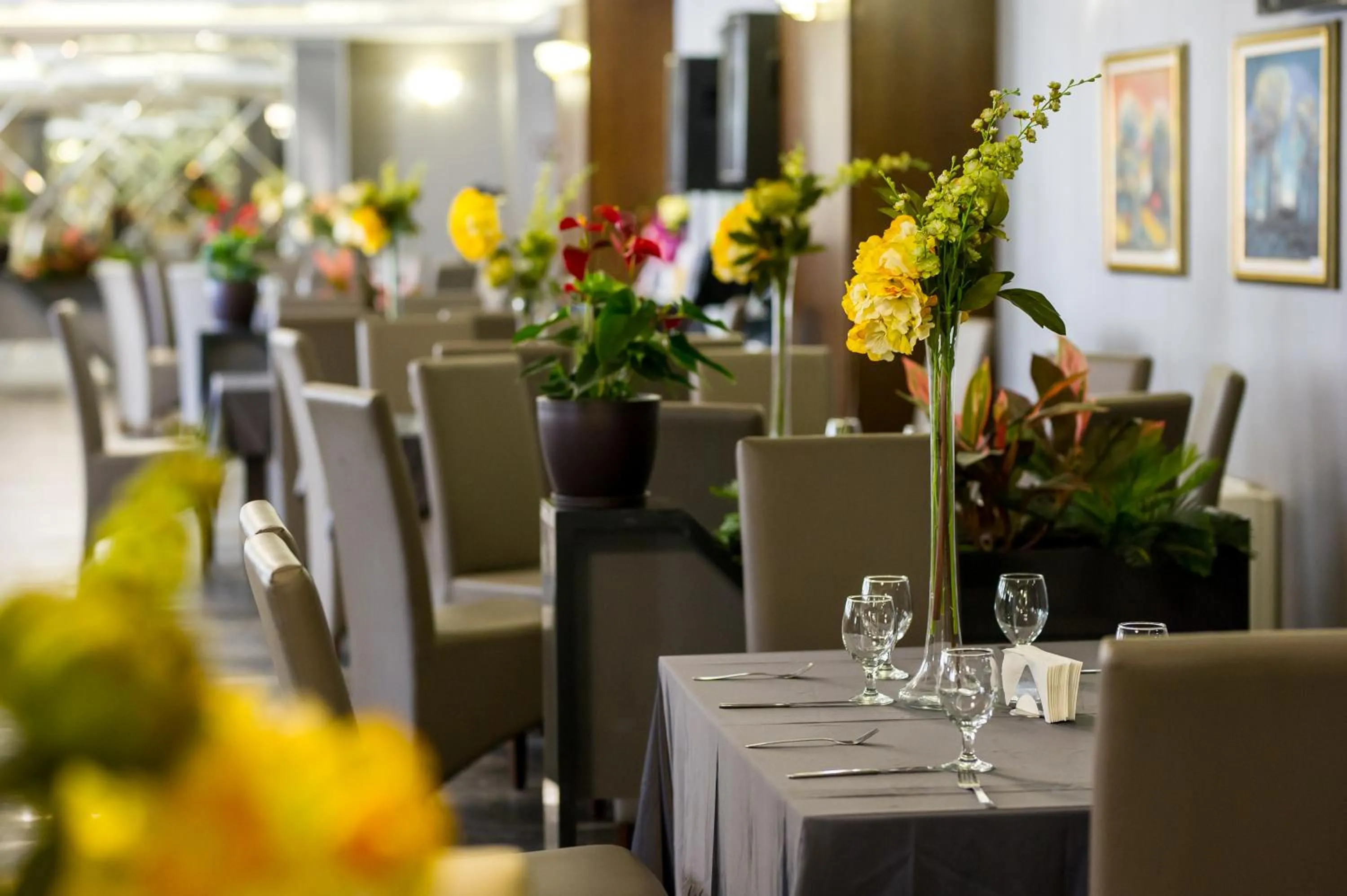 Restaurant/places to eat in Hotel Monte Cristo