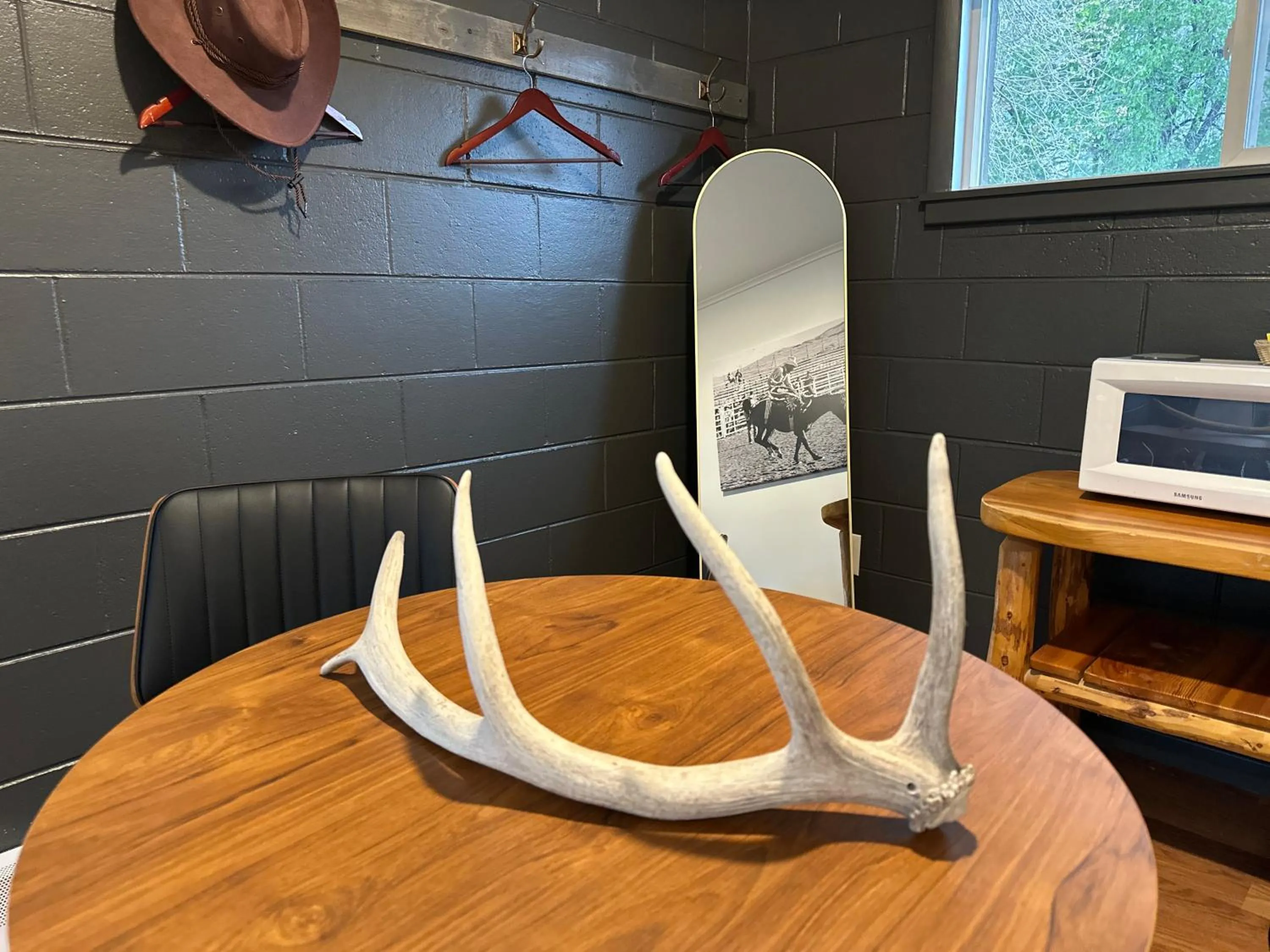 Elk Antler Inn